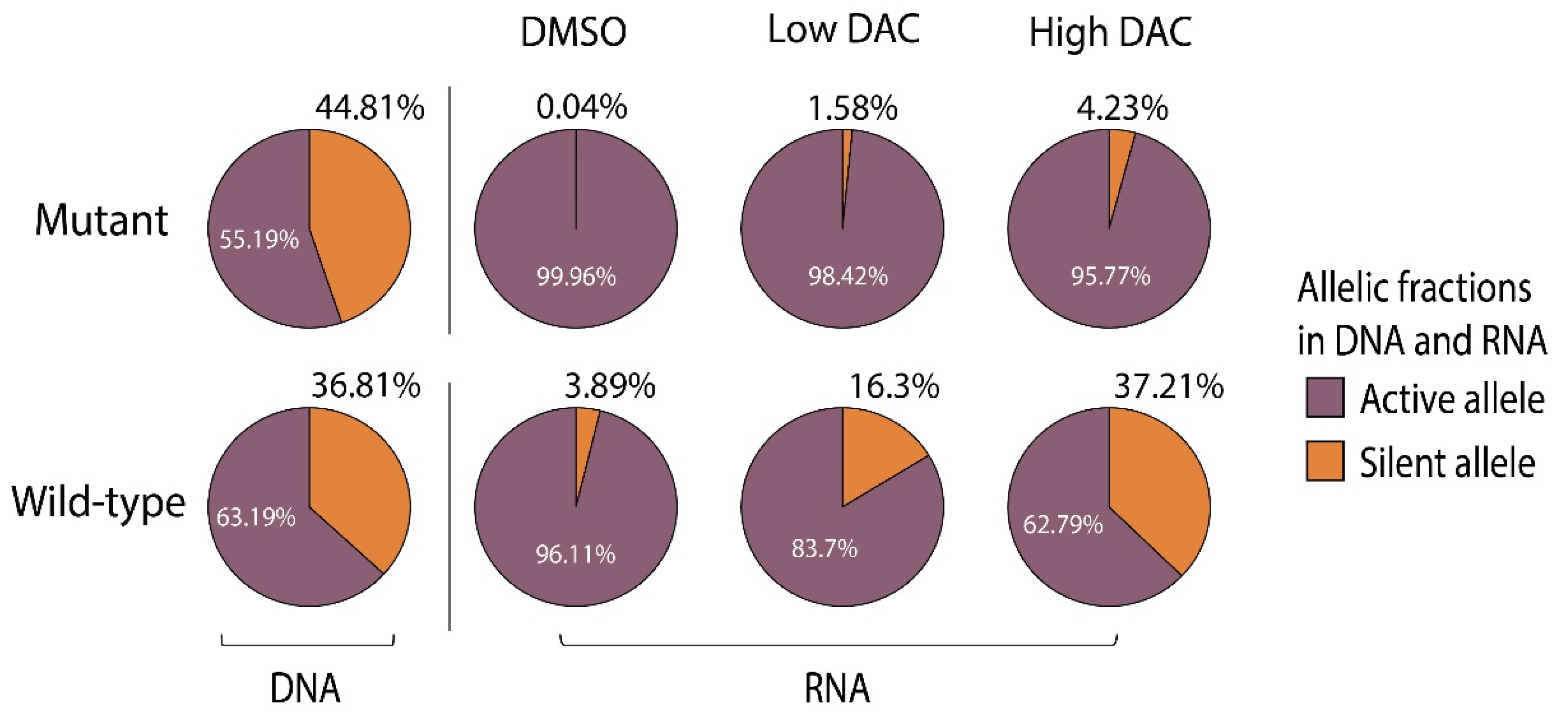 Cancers 14 04018 g004 Cancers 14 04018 g004