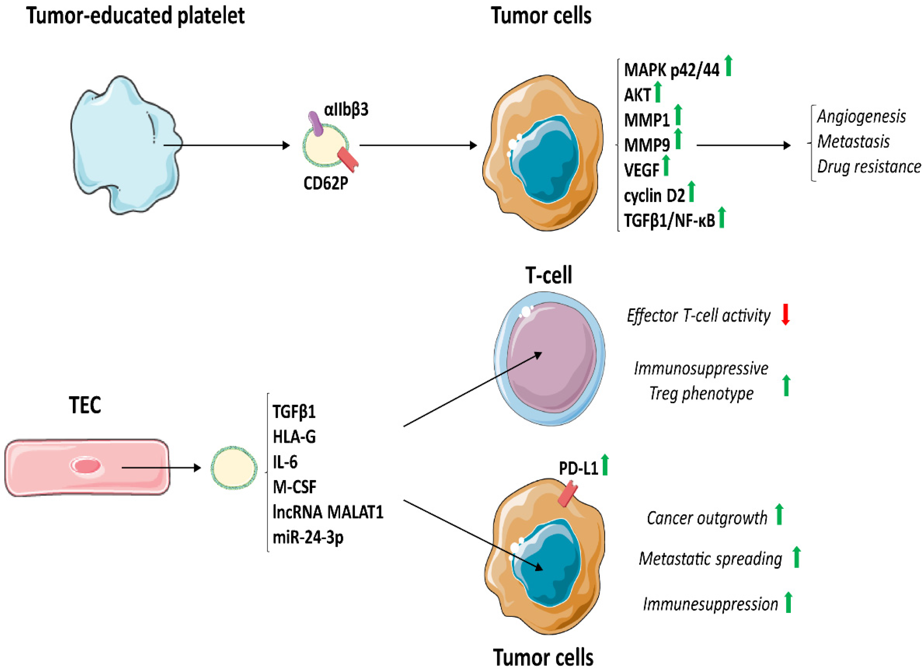 Cancers, Free Full-Text