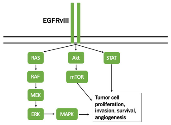 Cancers | Free Full-Text | Next Steps for Immunotherapy in