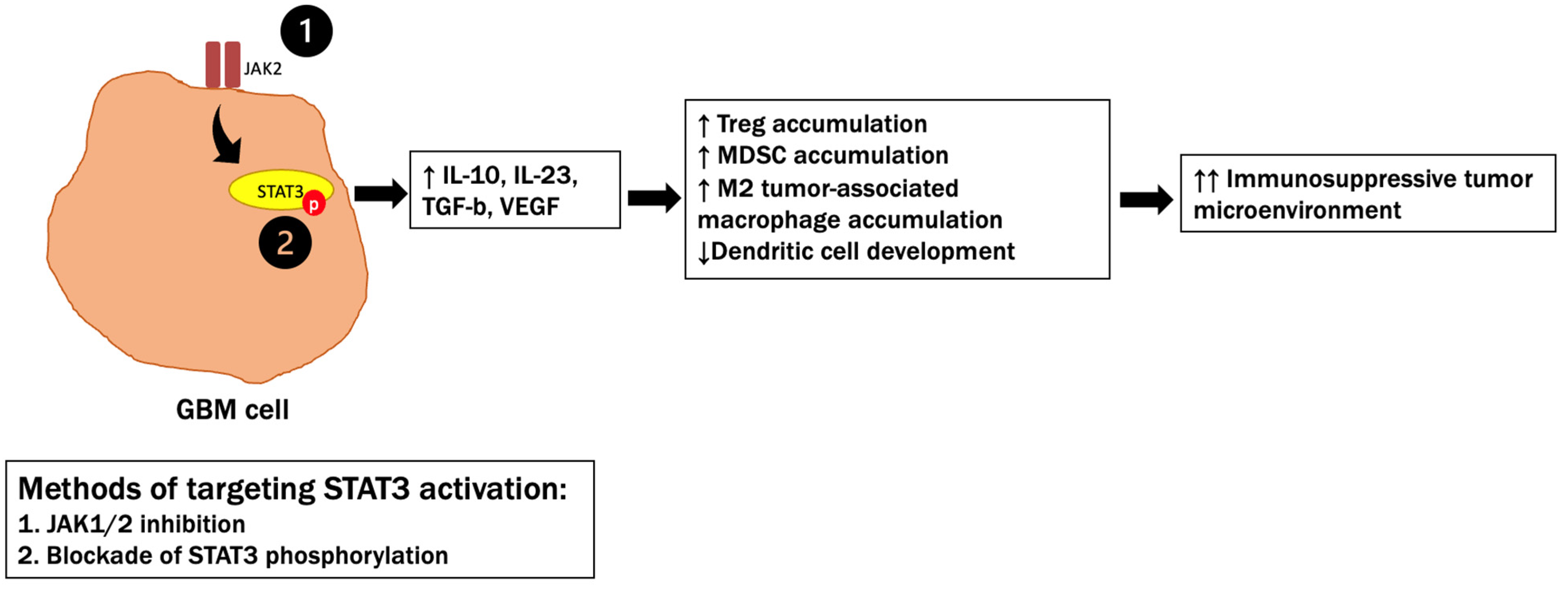 Cancers 14 04023 g004