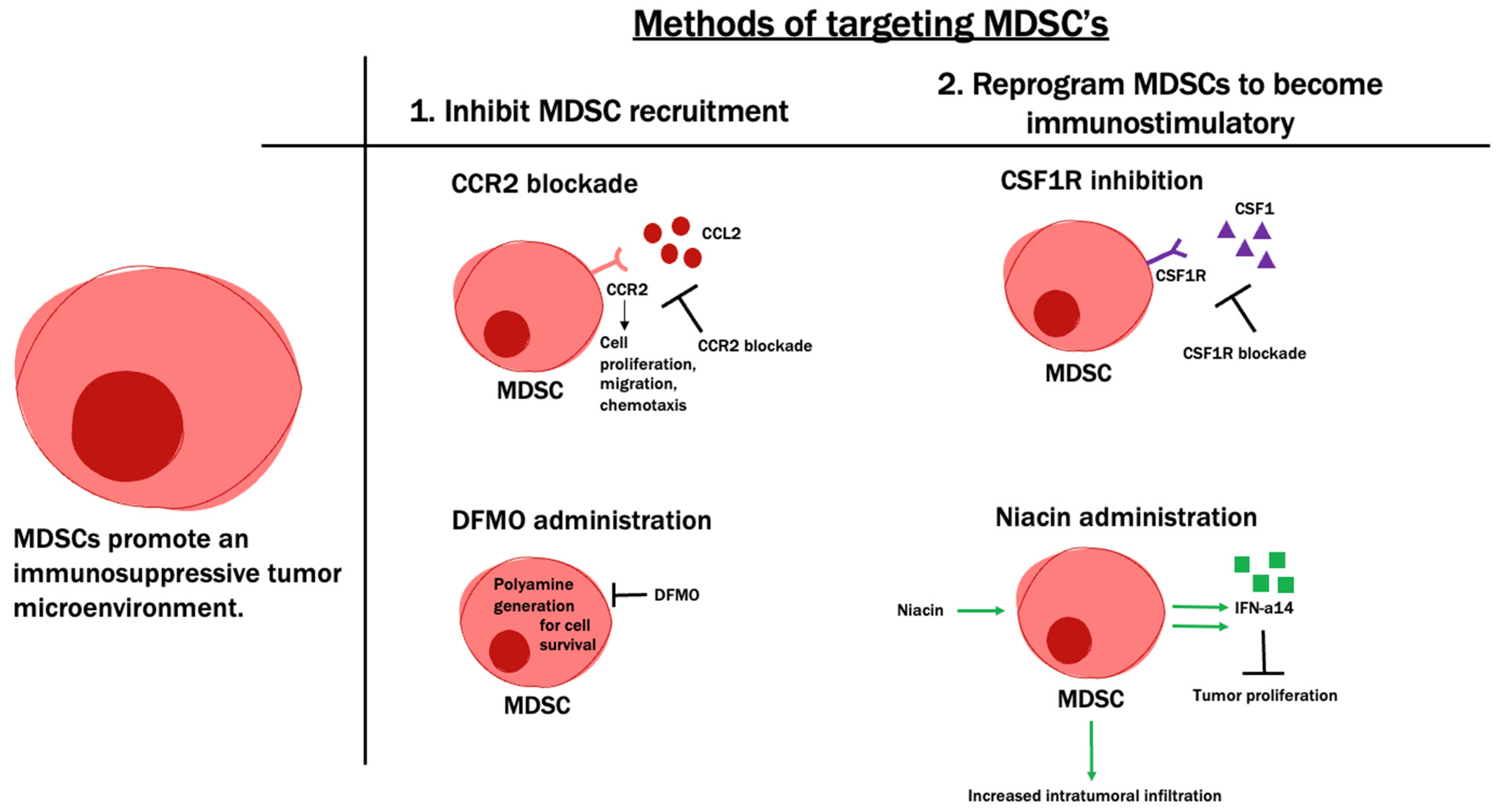 Cancers 14 04023 g005