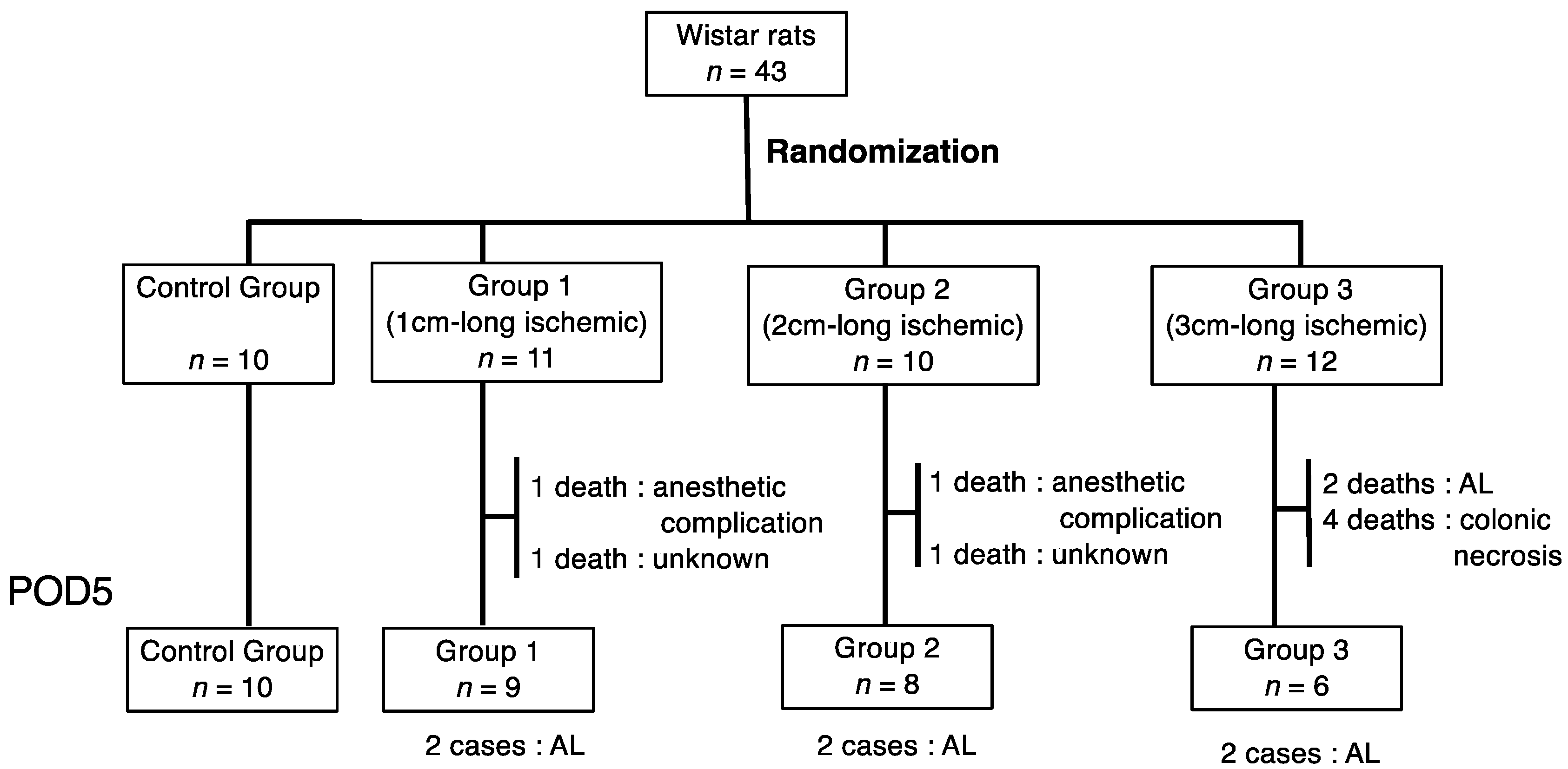 Cancers 14 04024 g001 550