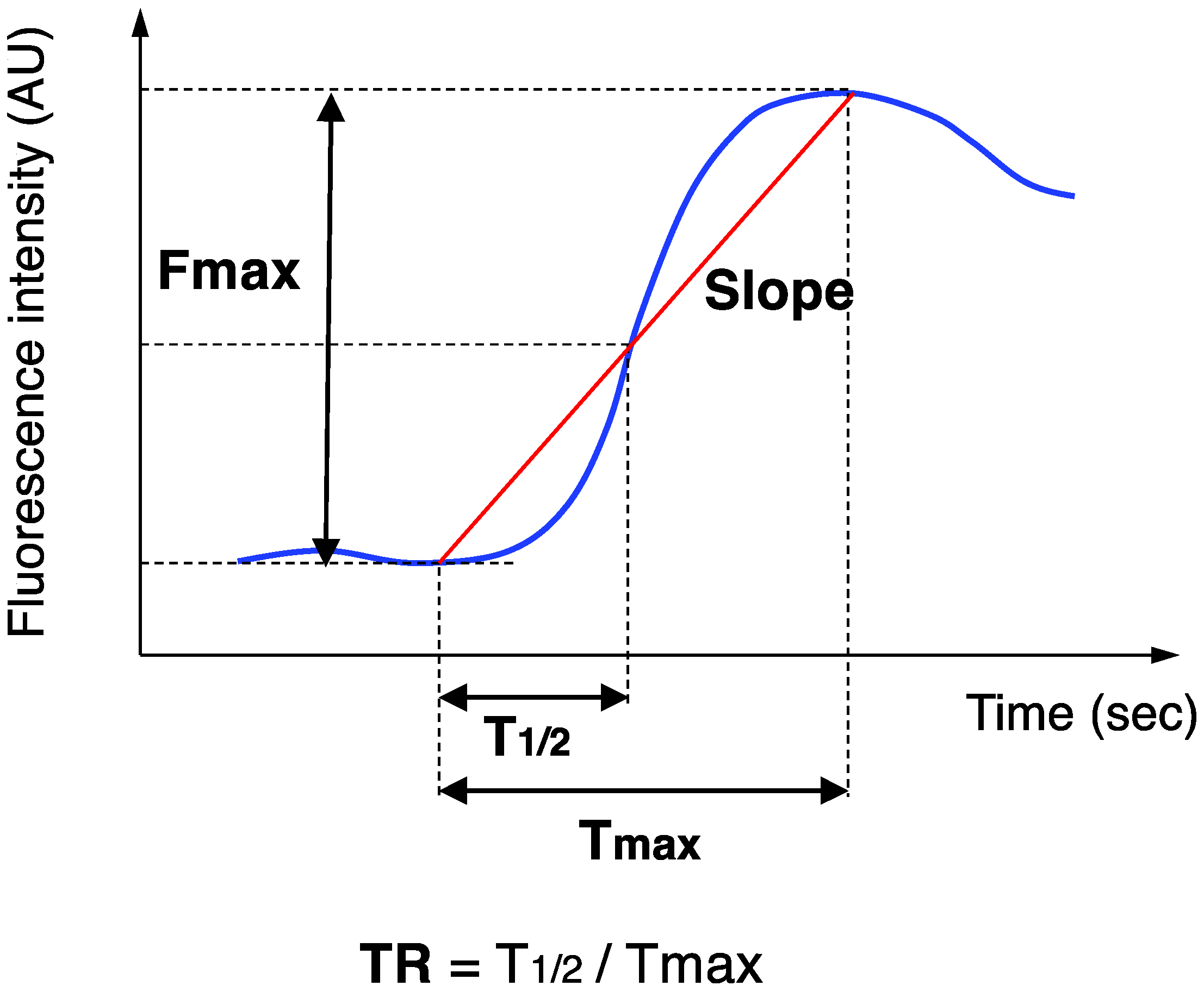 Cancers 14 04024 g003 550