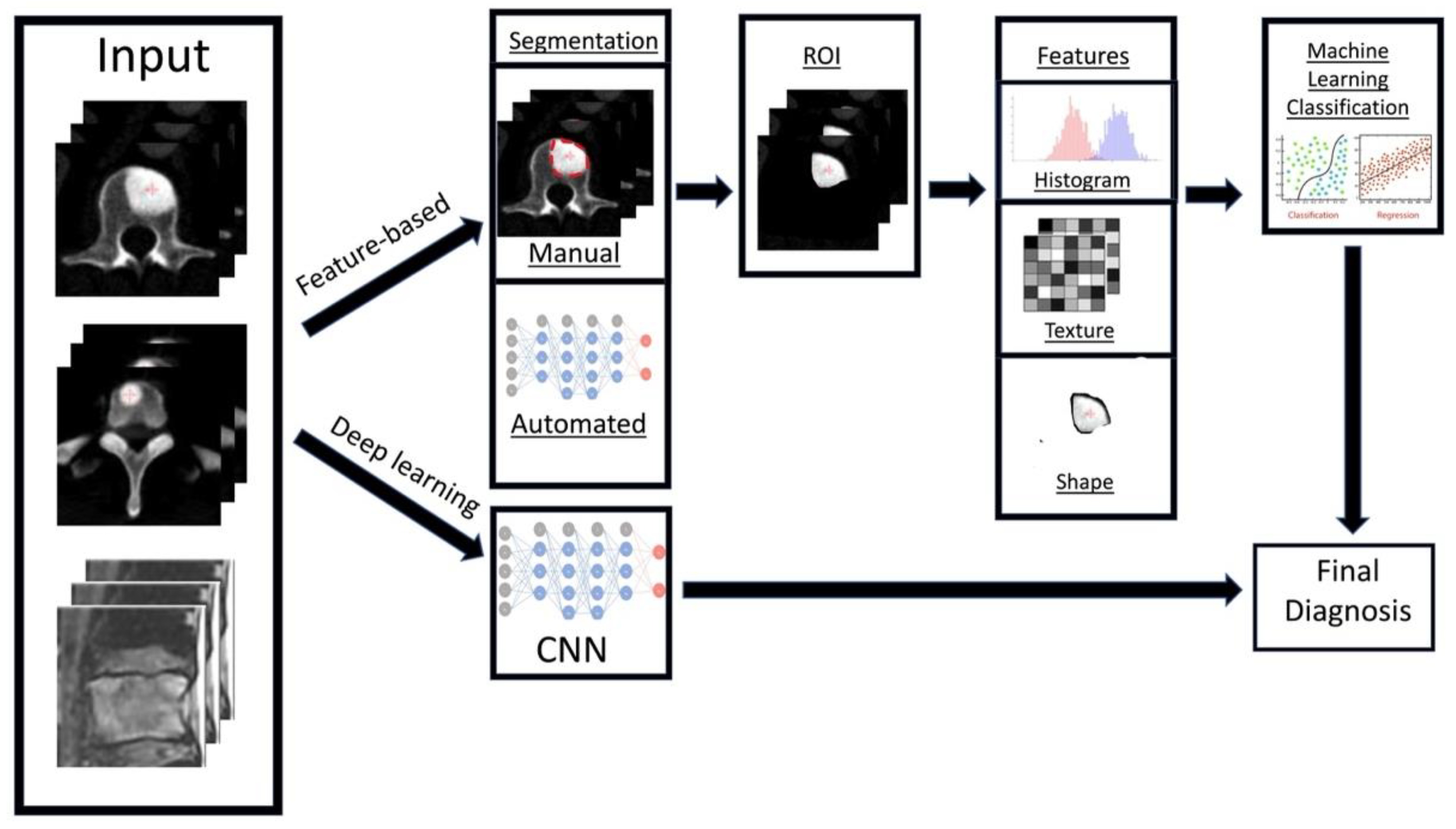 Cancers 14 04025 g004