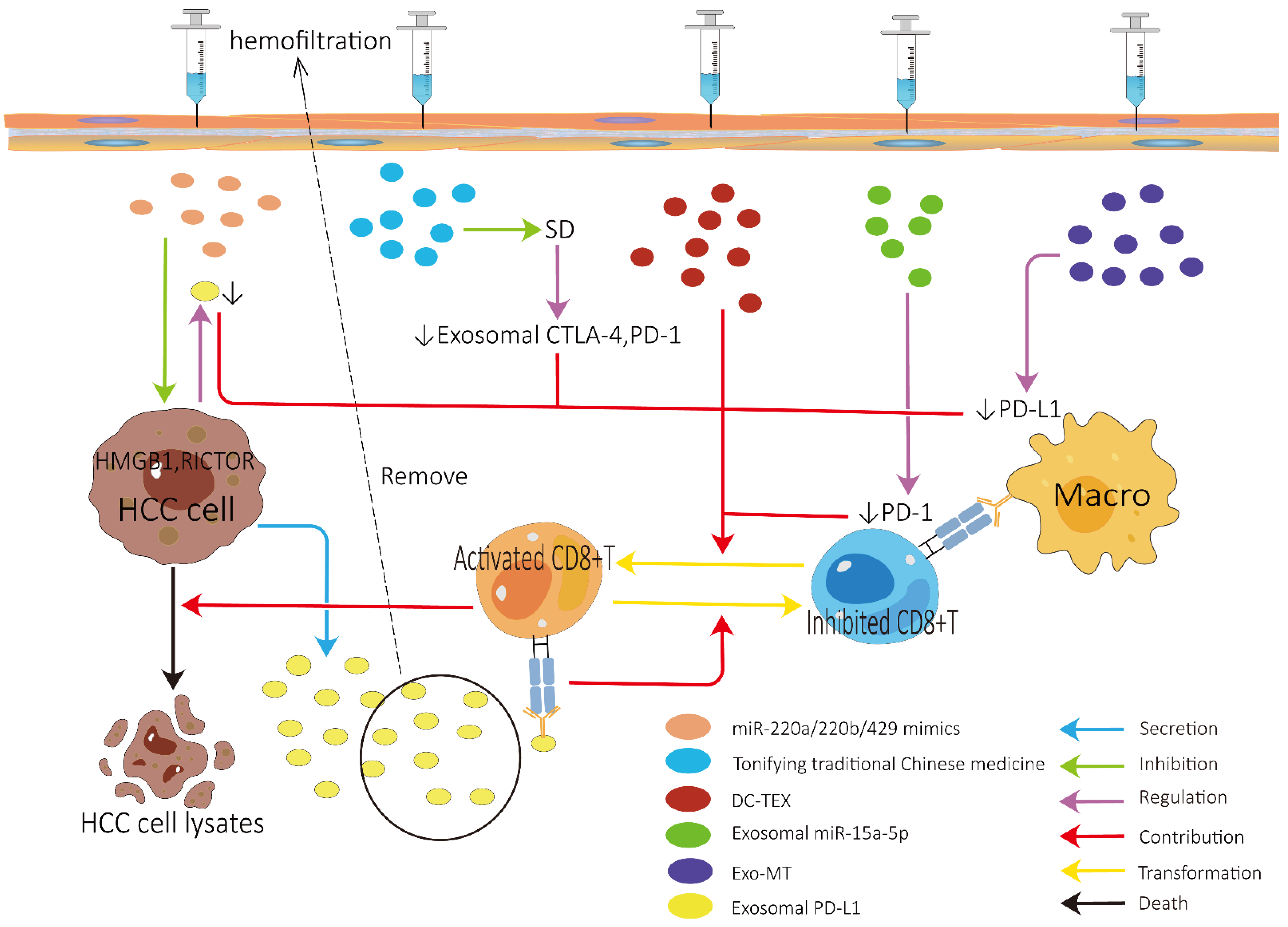 Cancers 14 04036 g003 550