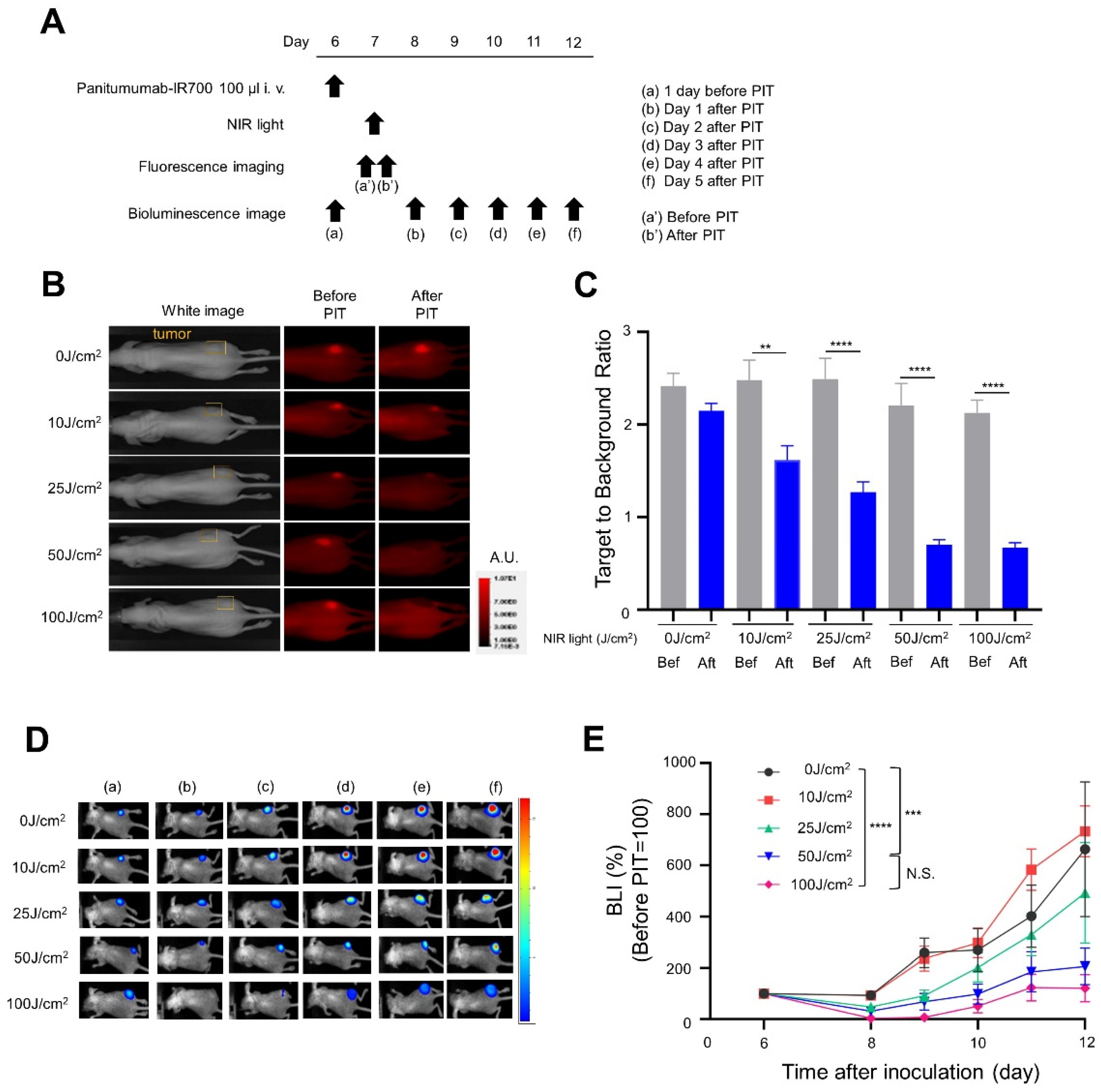 Cancers 14 04042 g002 550