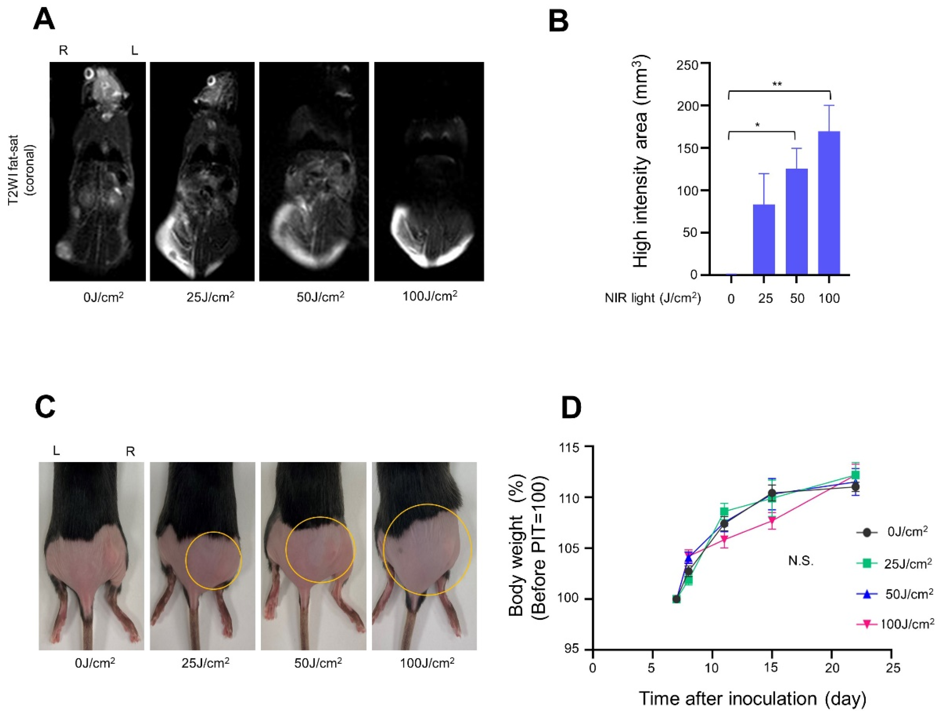 Cancers 14 04042 g007 550