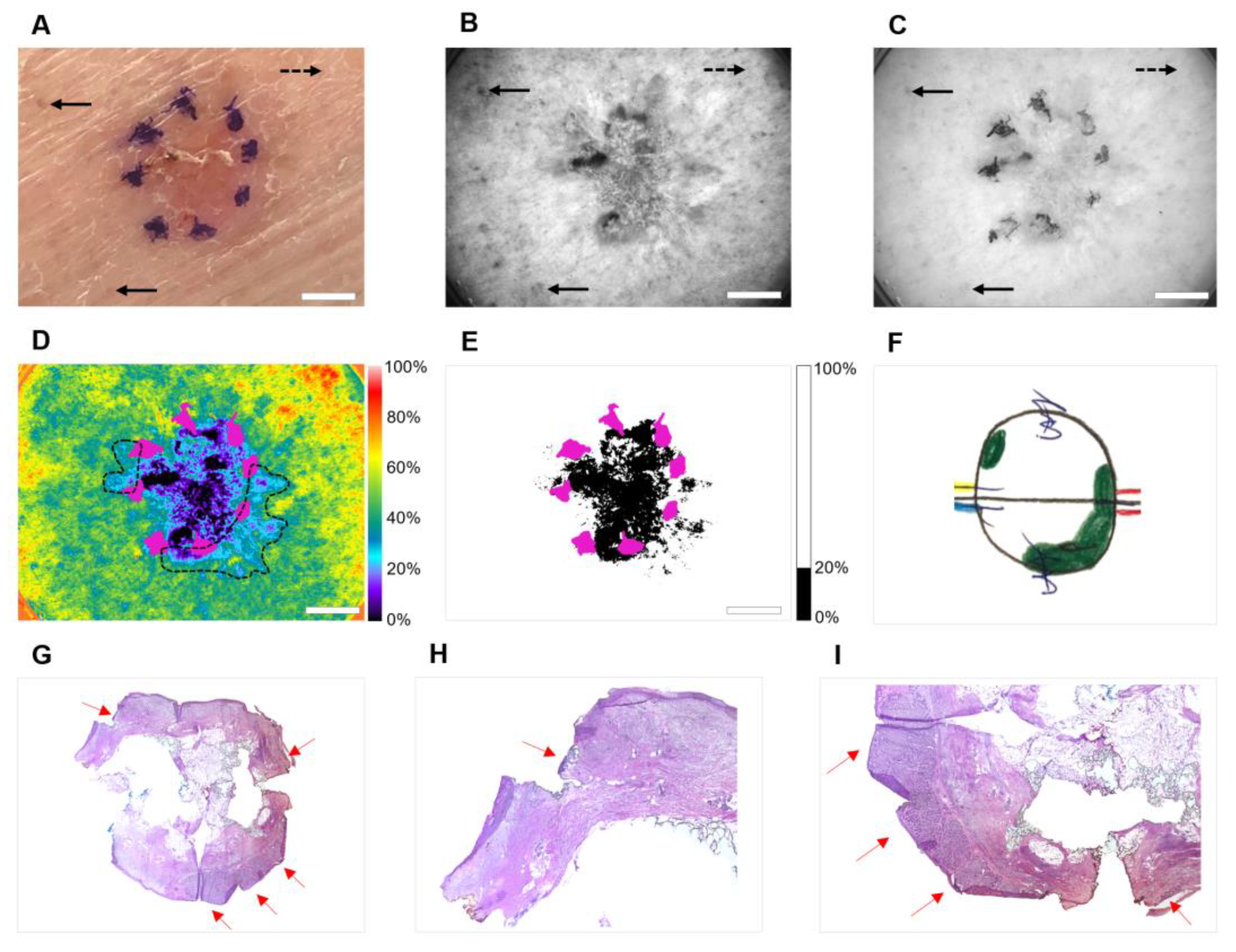 Cancers 14 04049 g002 550