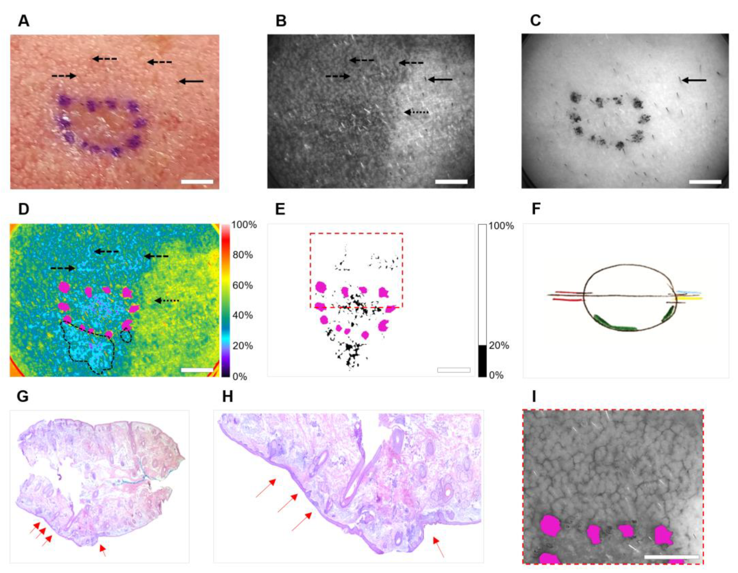 Cancers 14 04049 g003 550