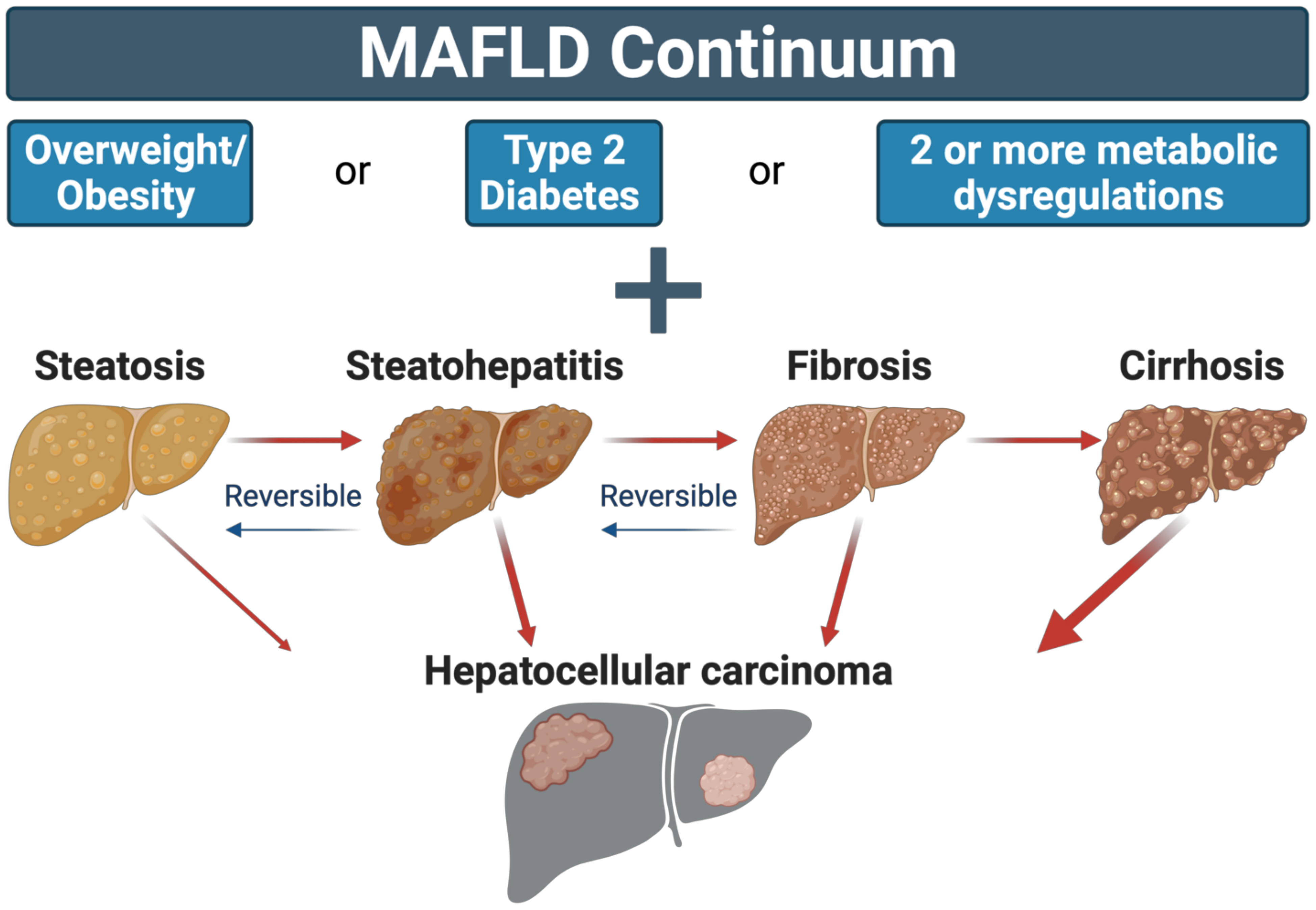 Weighing In On The Scale Debate: How often is too often and what factors  affect the number besides fat? - Mather Hospital