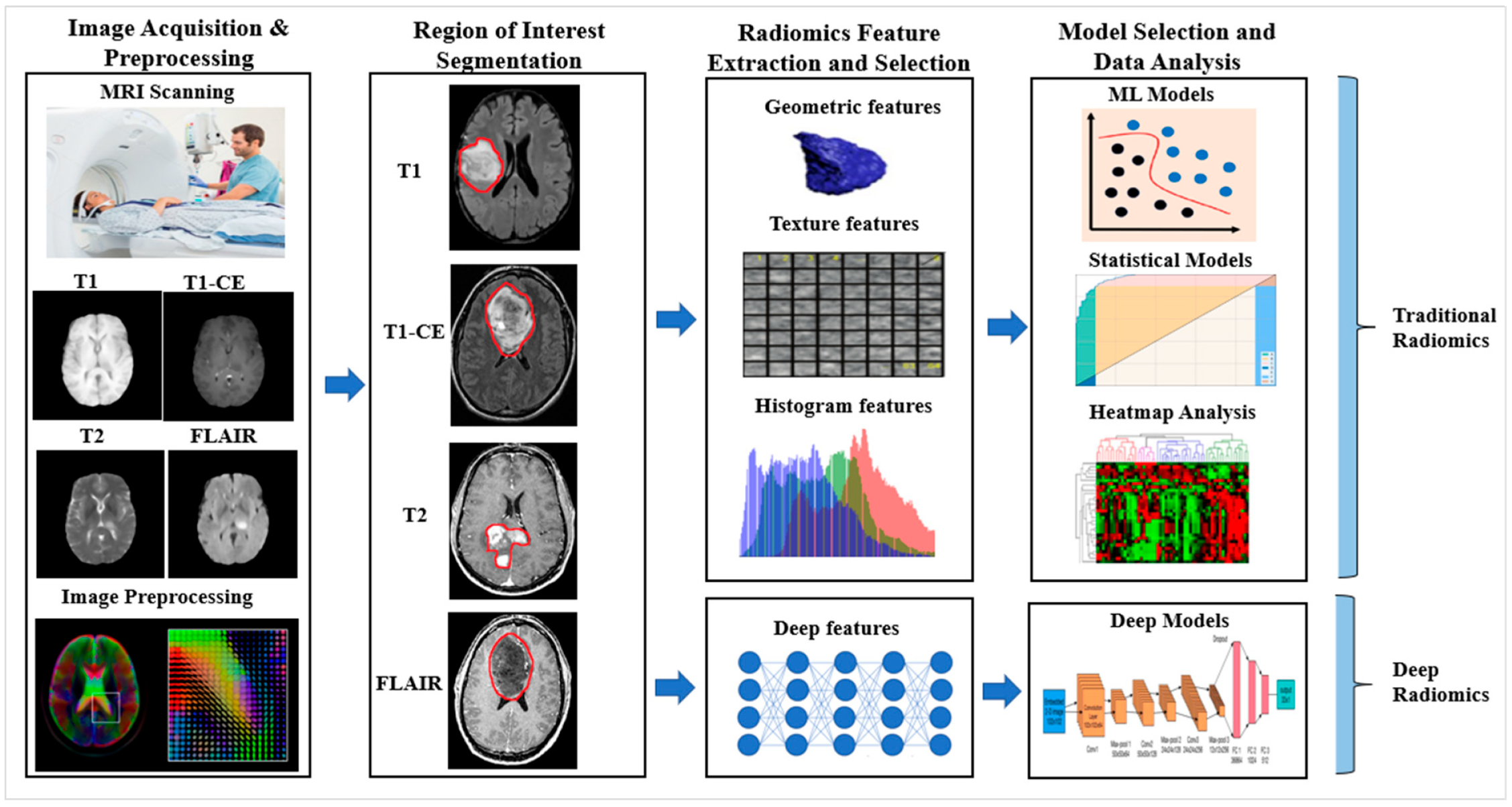 Cancers 14 04052 g007 Cancers 14 04052 g007
