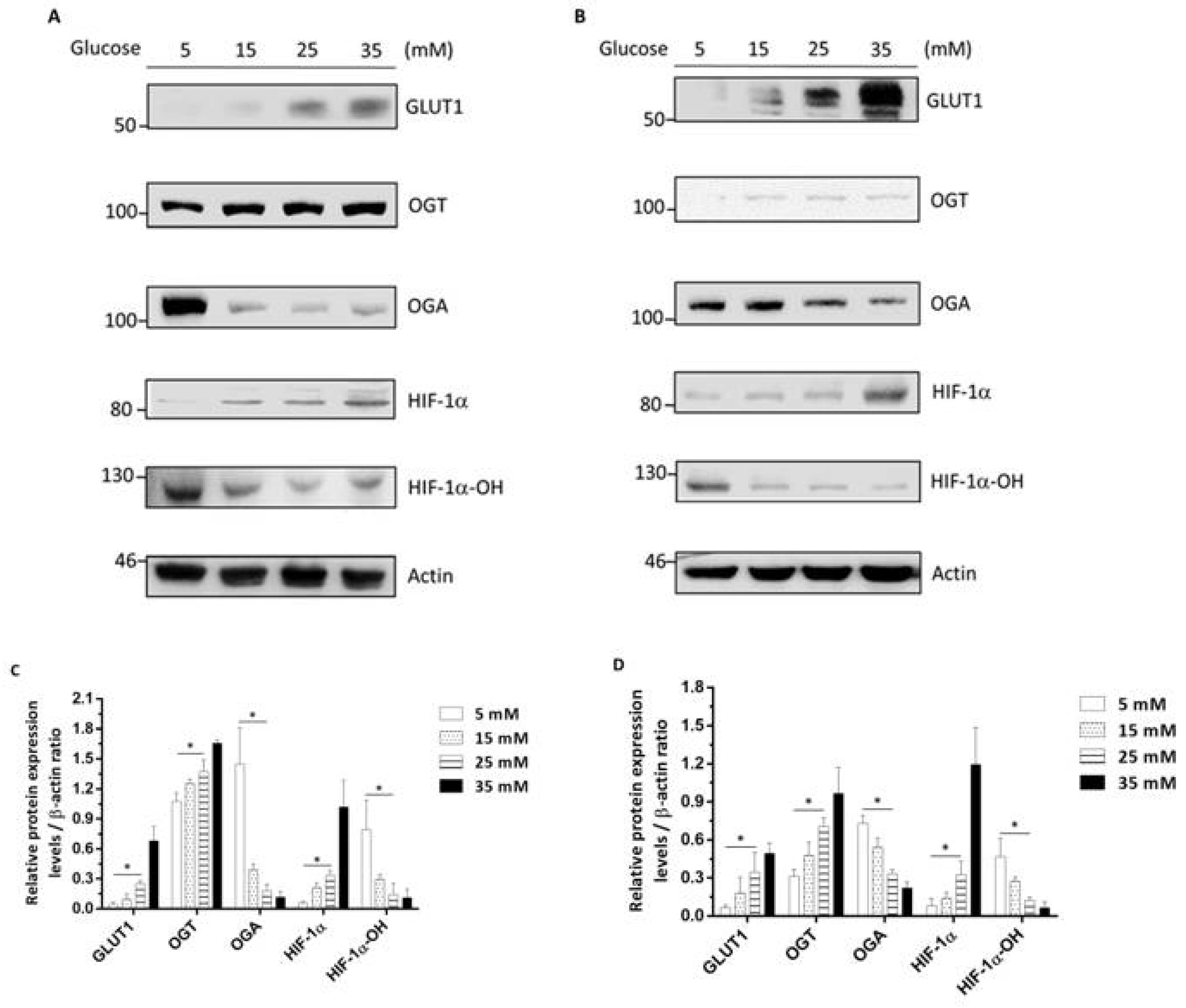 Cancers 14 04053 g002 Cancers 14 04053 g002