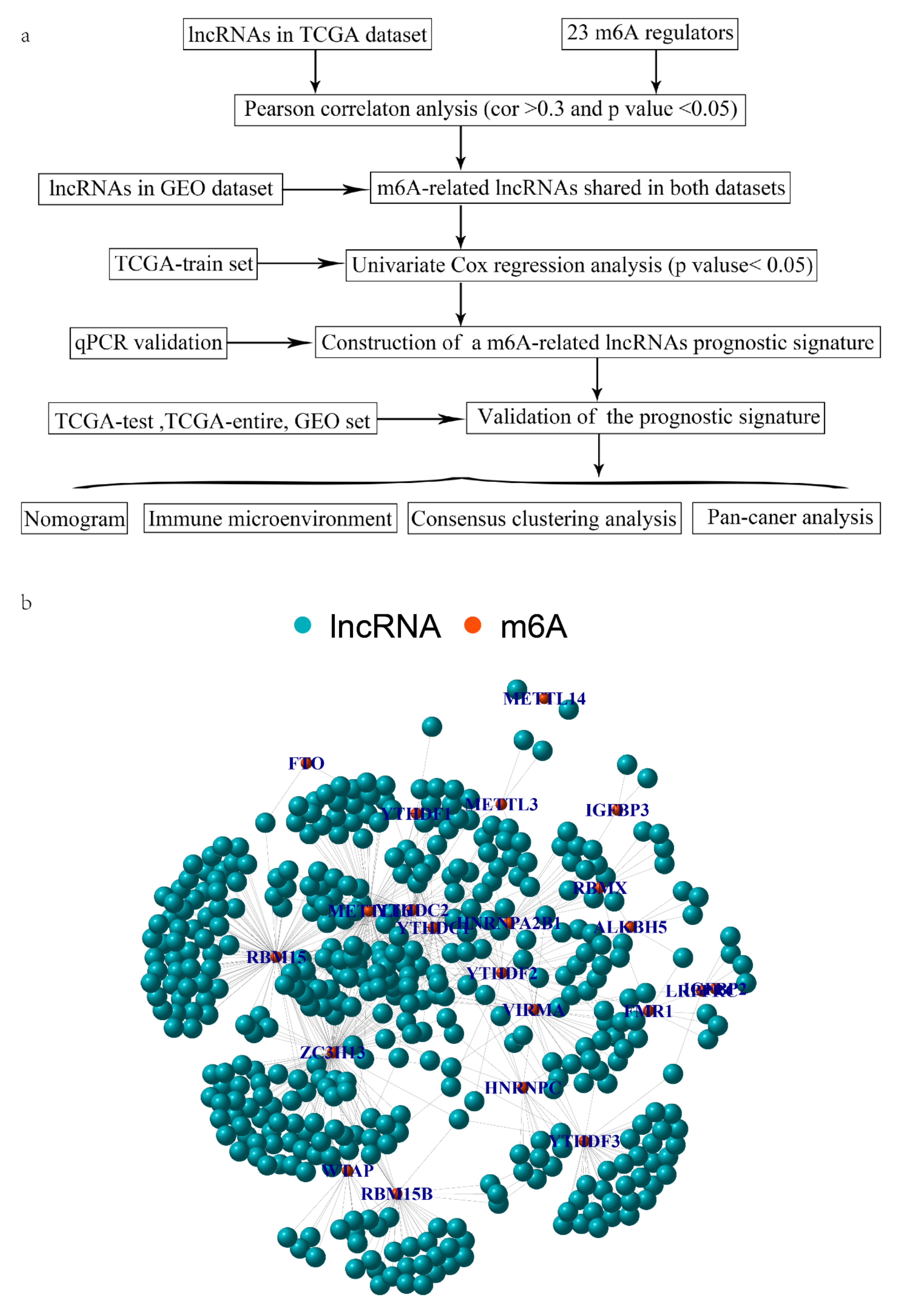 Cancers 14 04056 g001