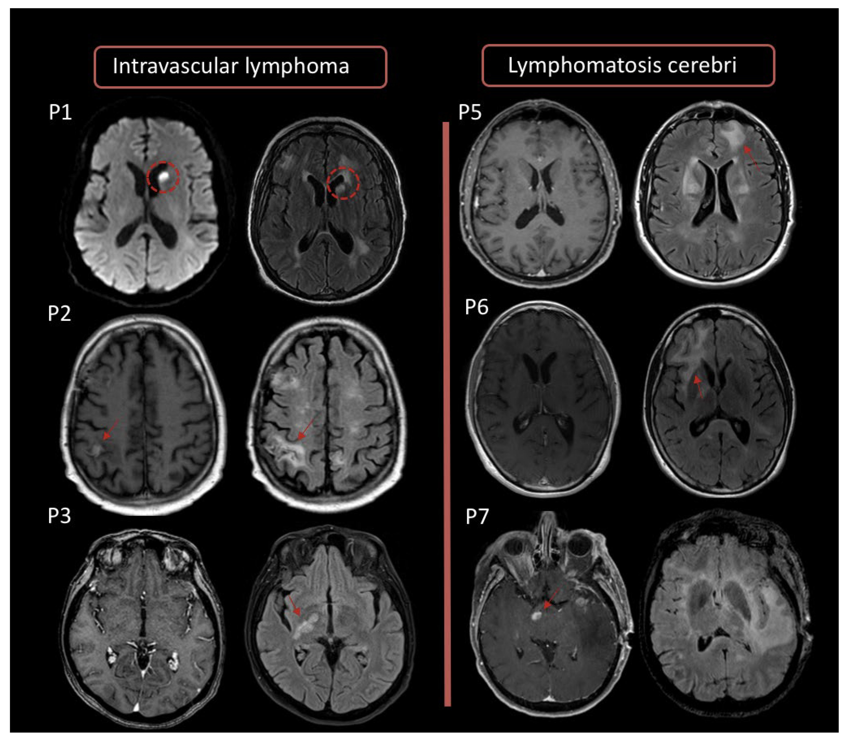 Cancers 14 04071 g001