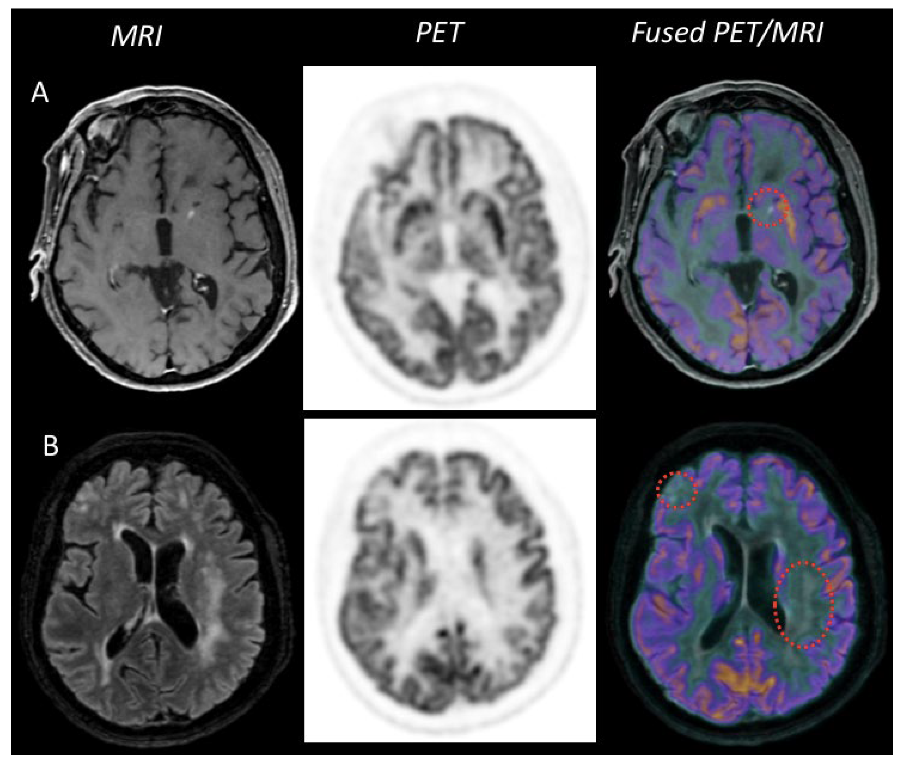 Cancers 14 04071 g003