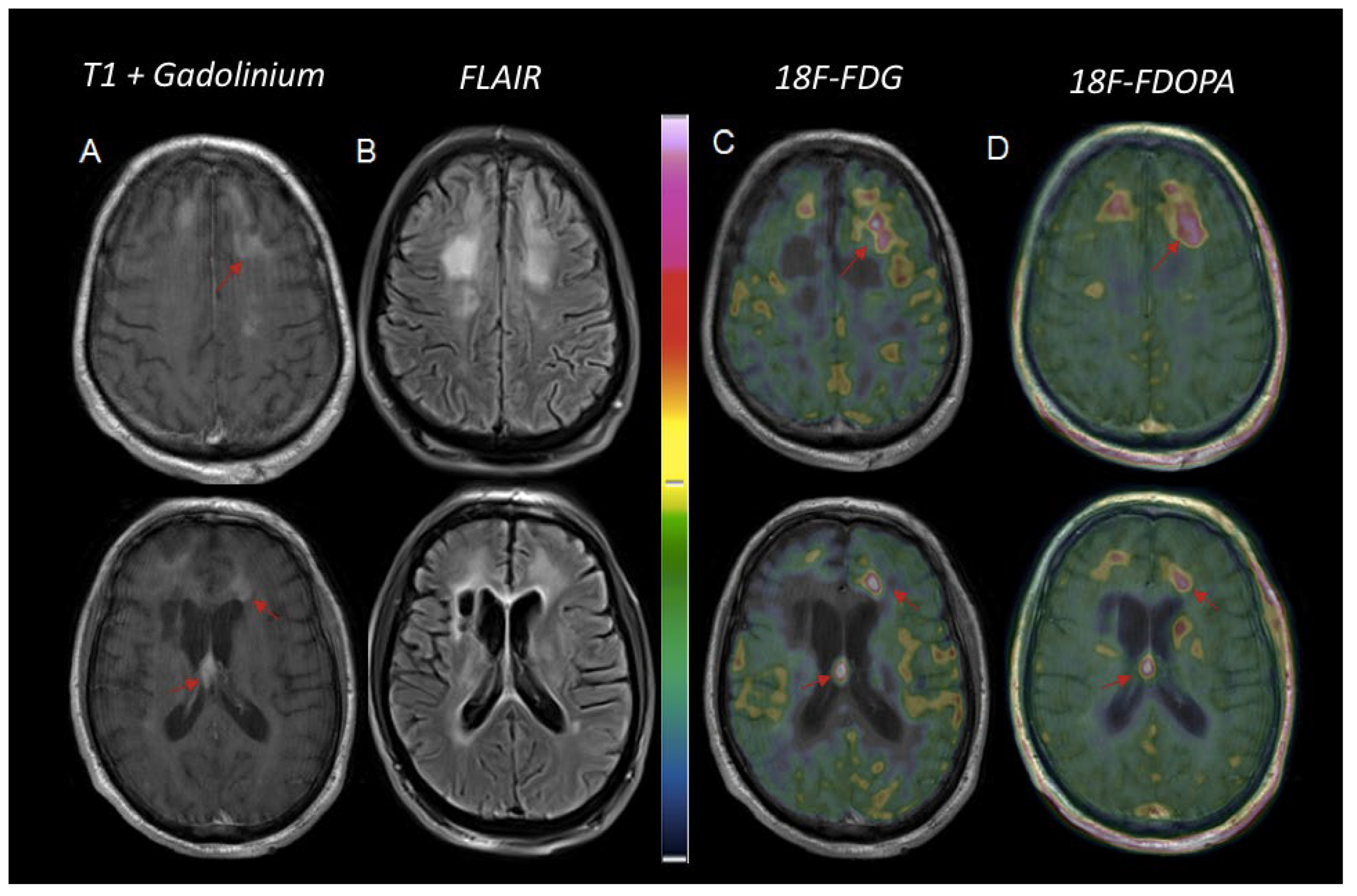 Cancers 14 04071 g008