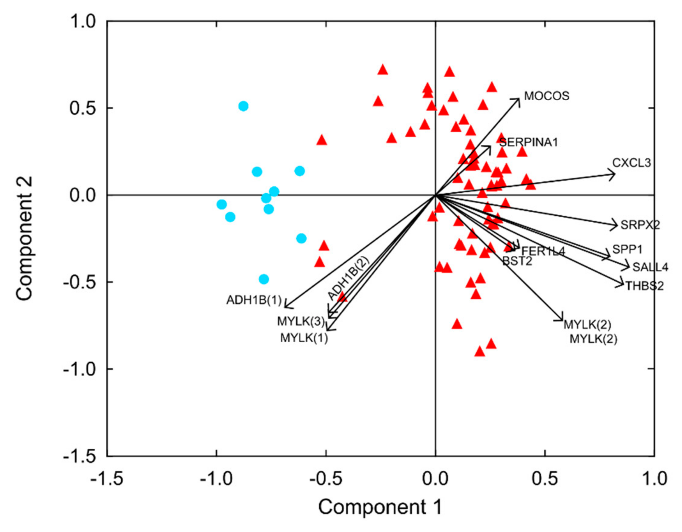 Cancers 14 04076 g001 Cancers 14 04076 g001