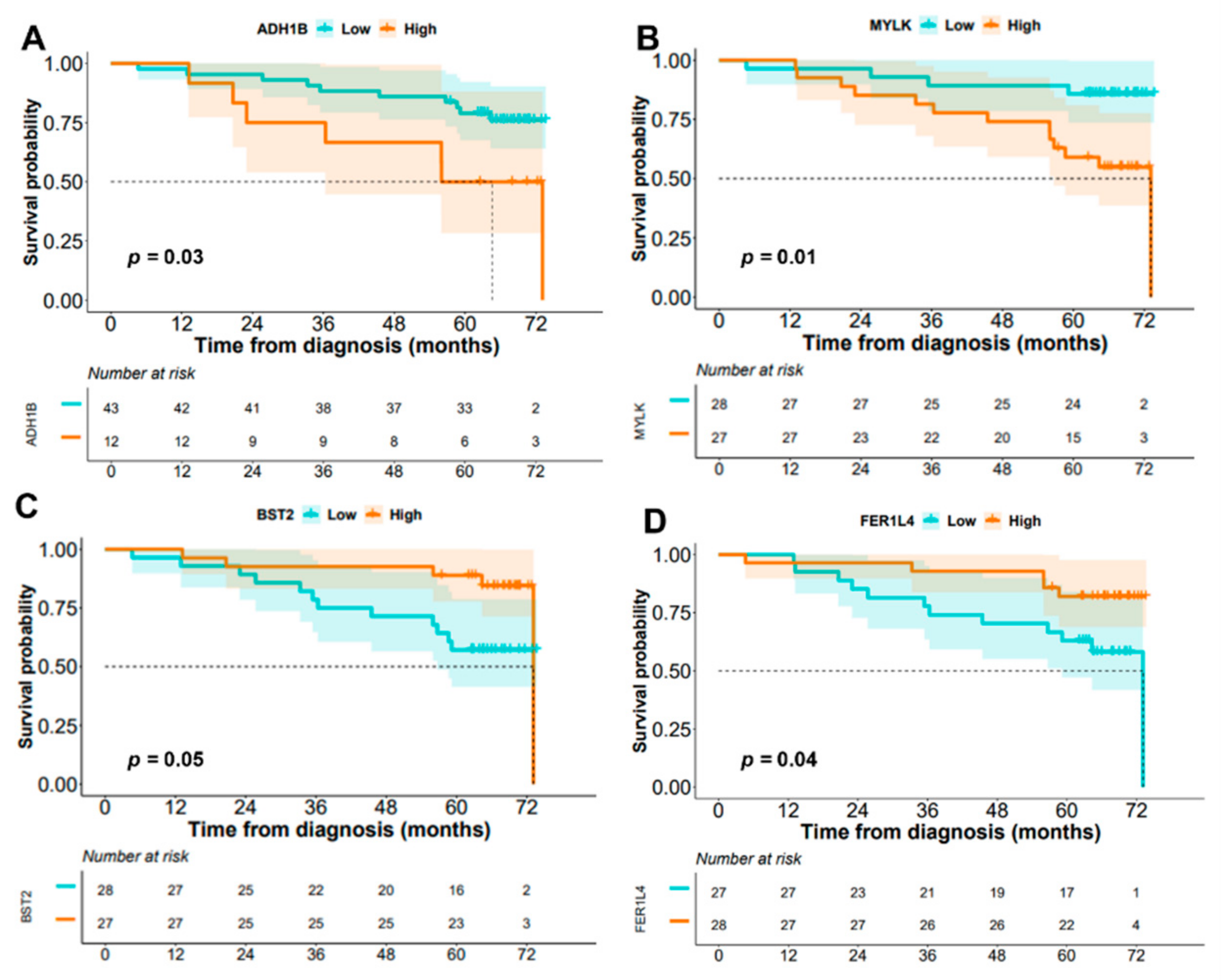 Cancers 14 04076 g004 Cancers 14 04076 g004