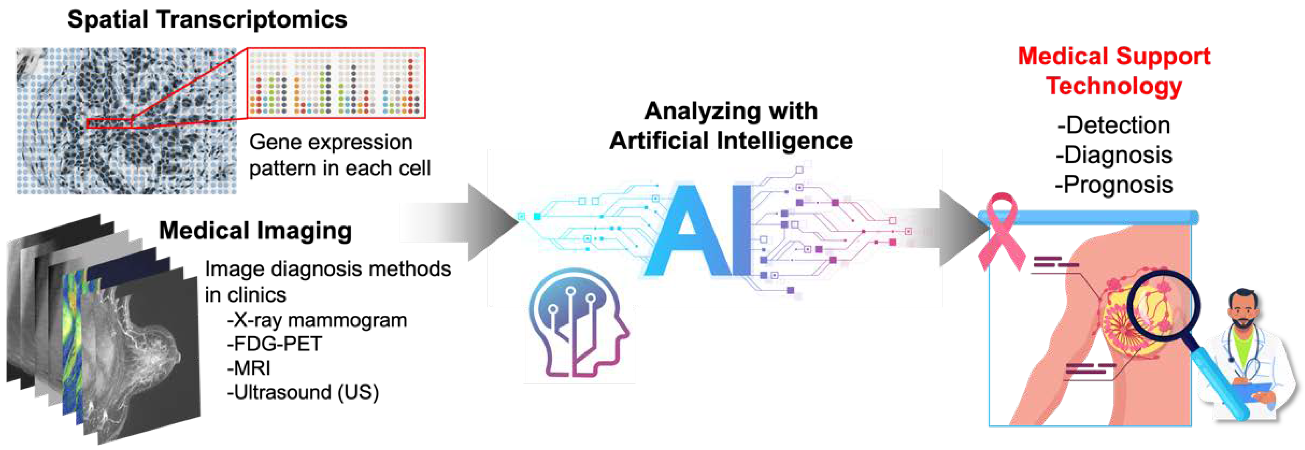 Cancers 14 04080 g002