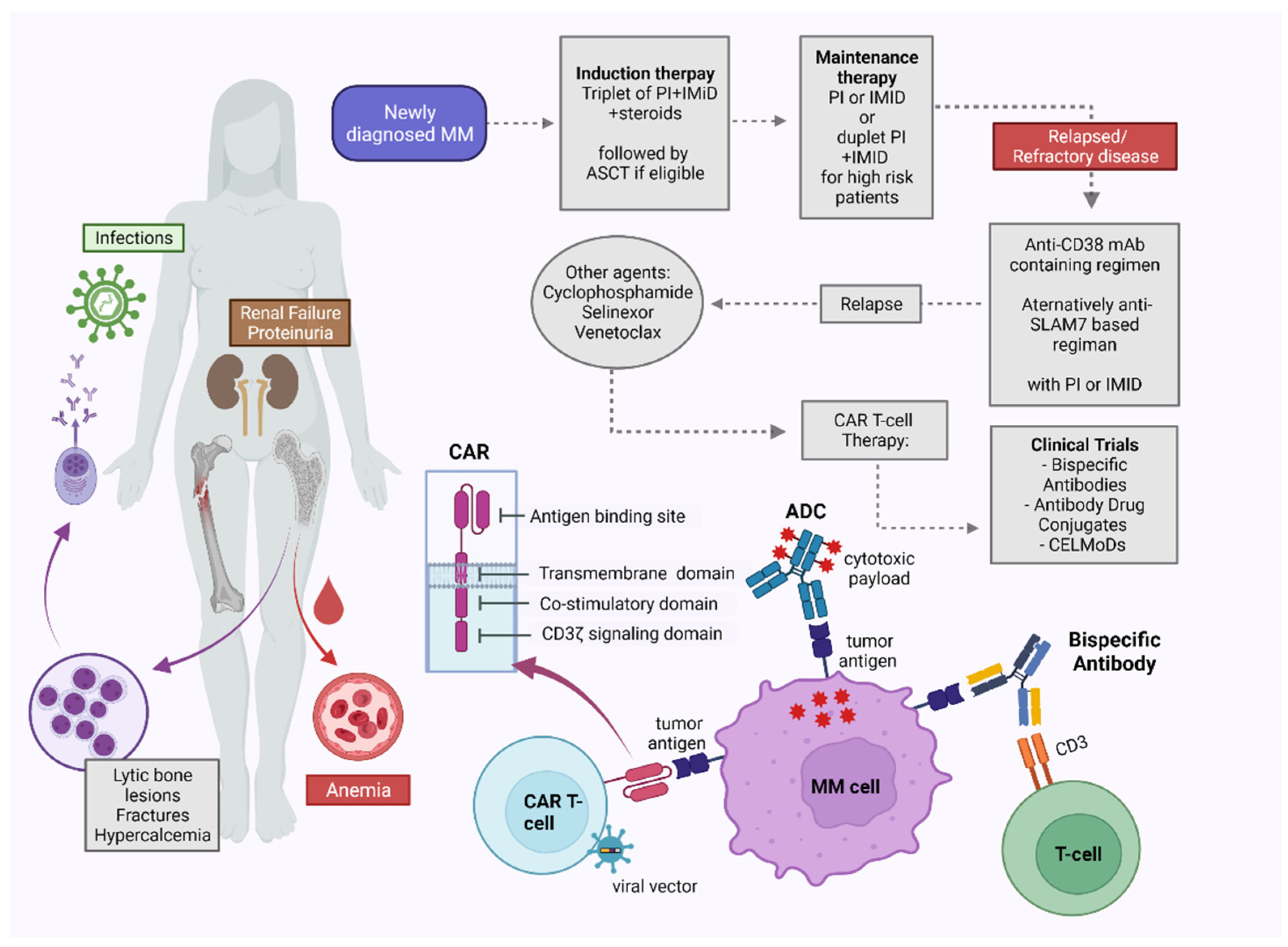 Cancers 14 04082 g003 550