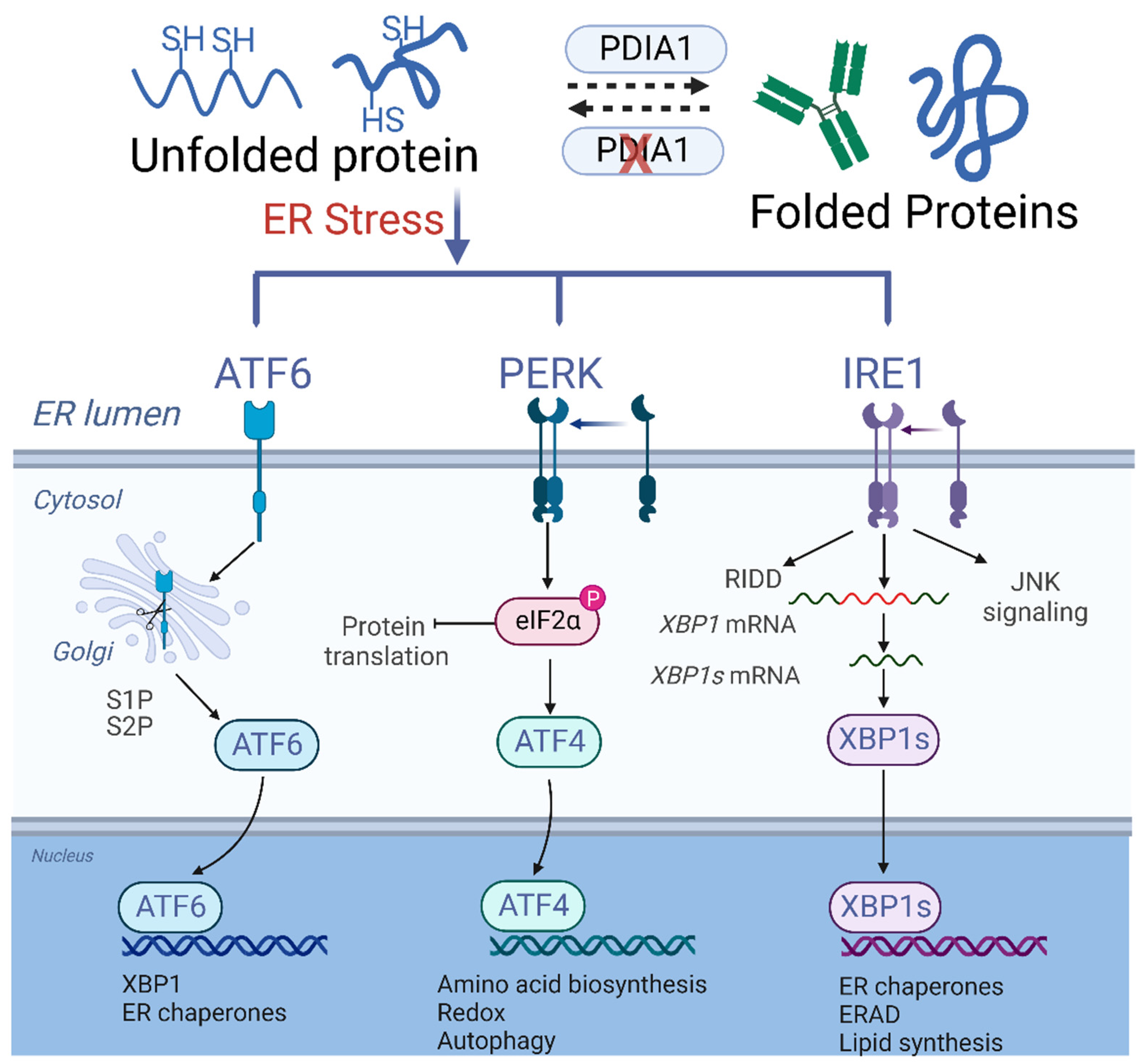 Cancers 14 04082 g005 550