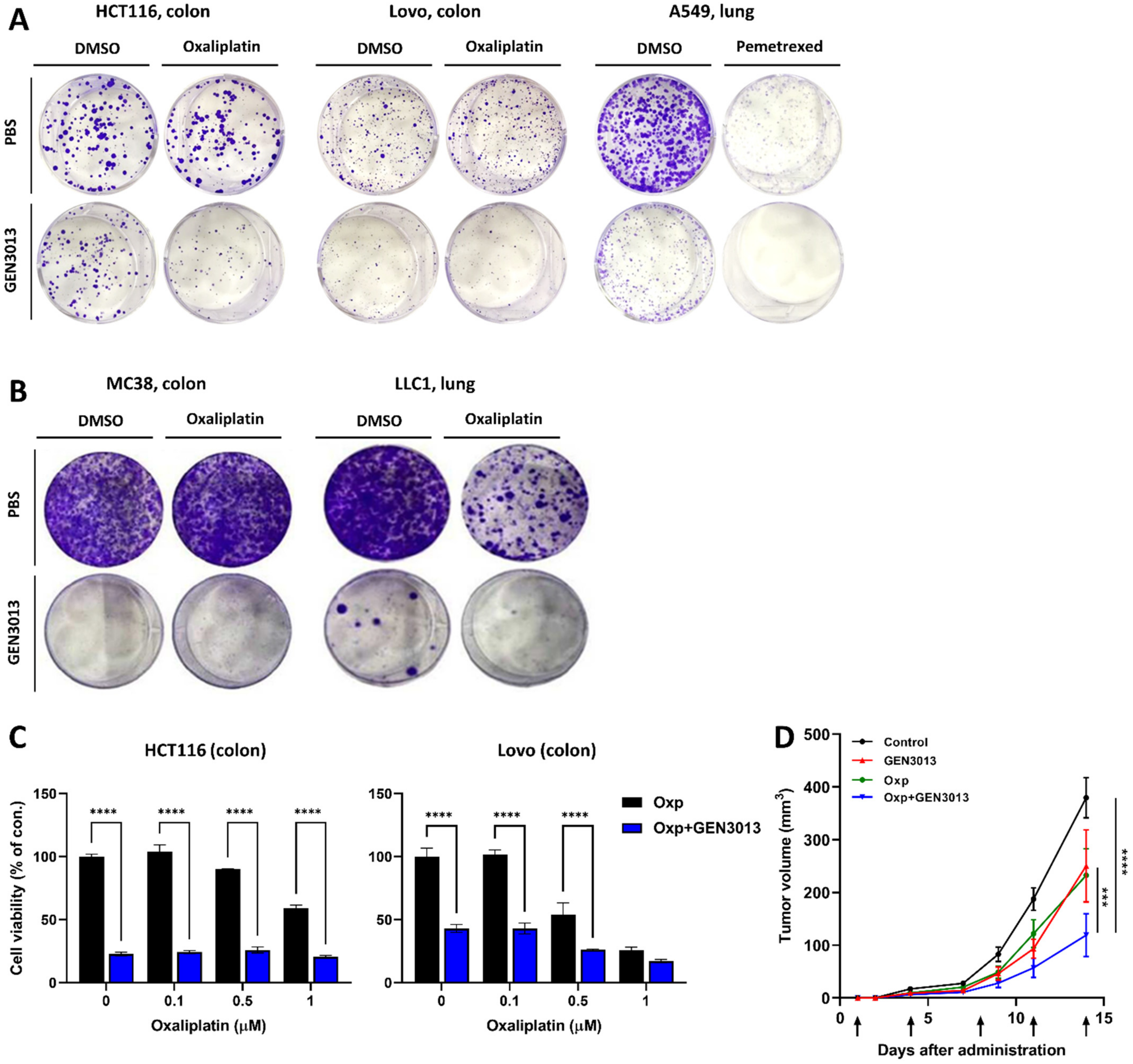Cancers 14 04083 g003