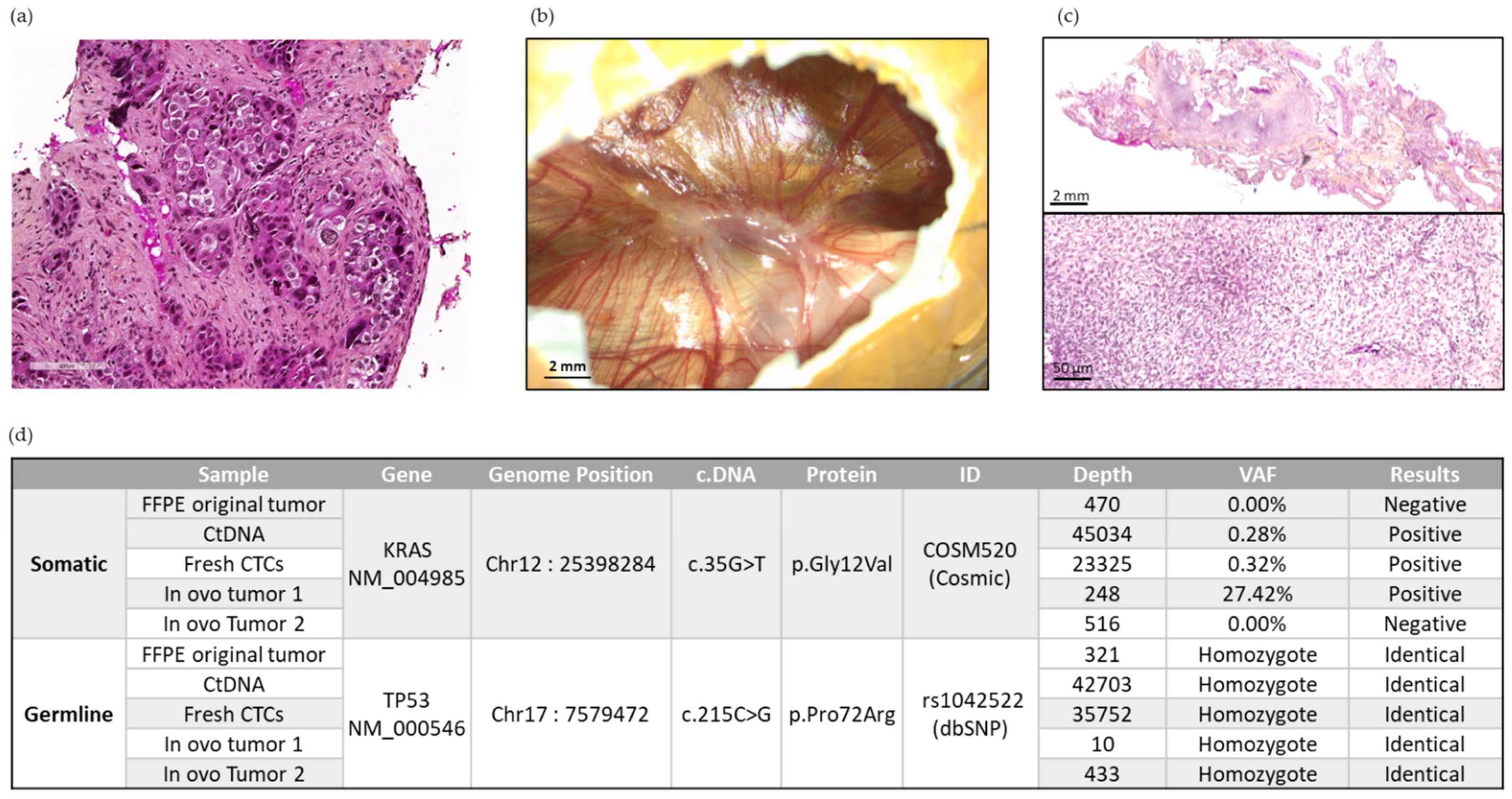 Cancers 14 04085 g007 550