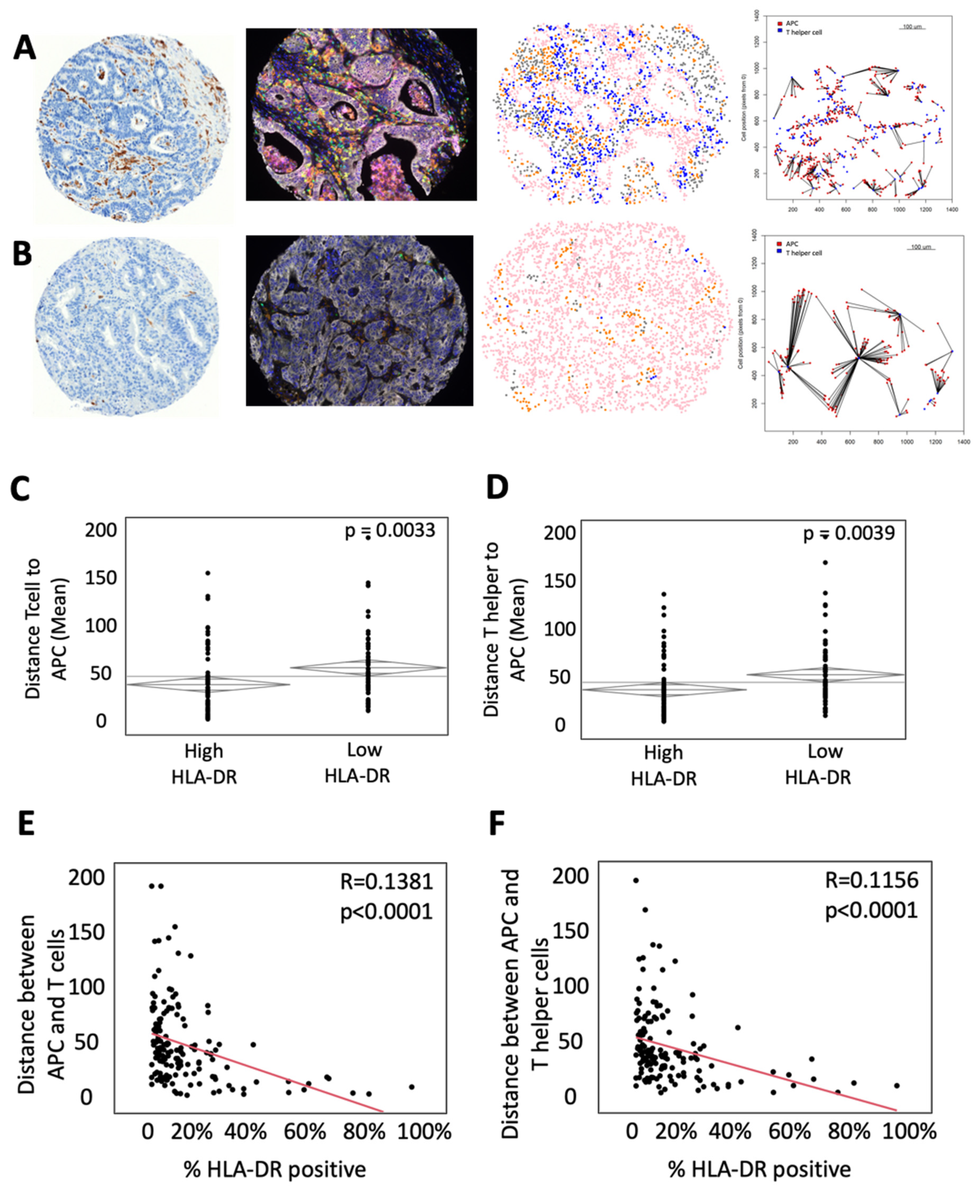 Cancers 14 04092 g001