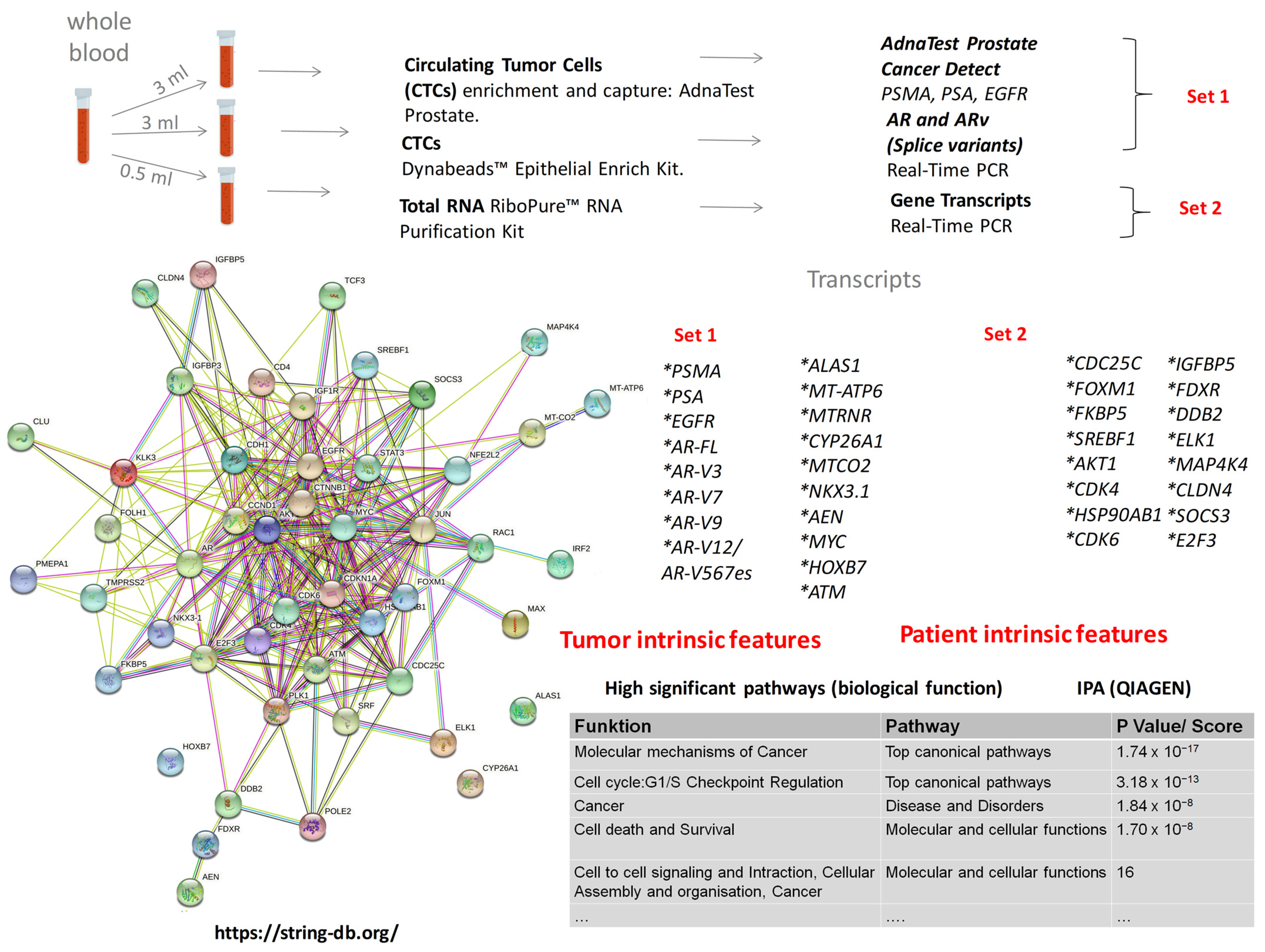 Cancers 14 04095 g001