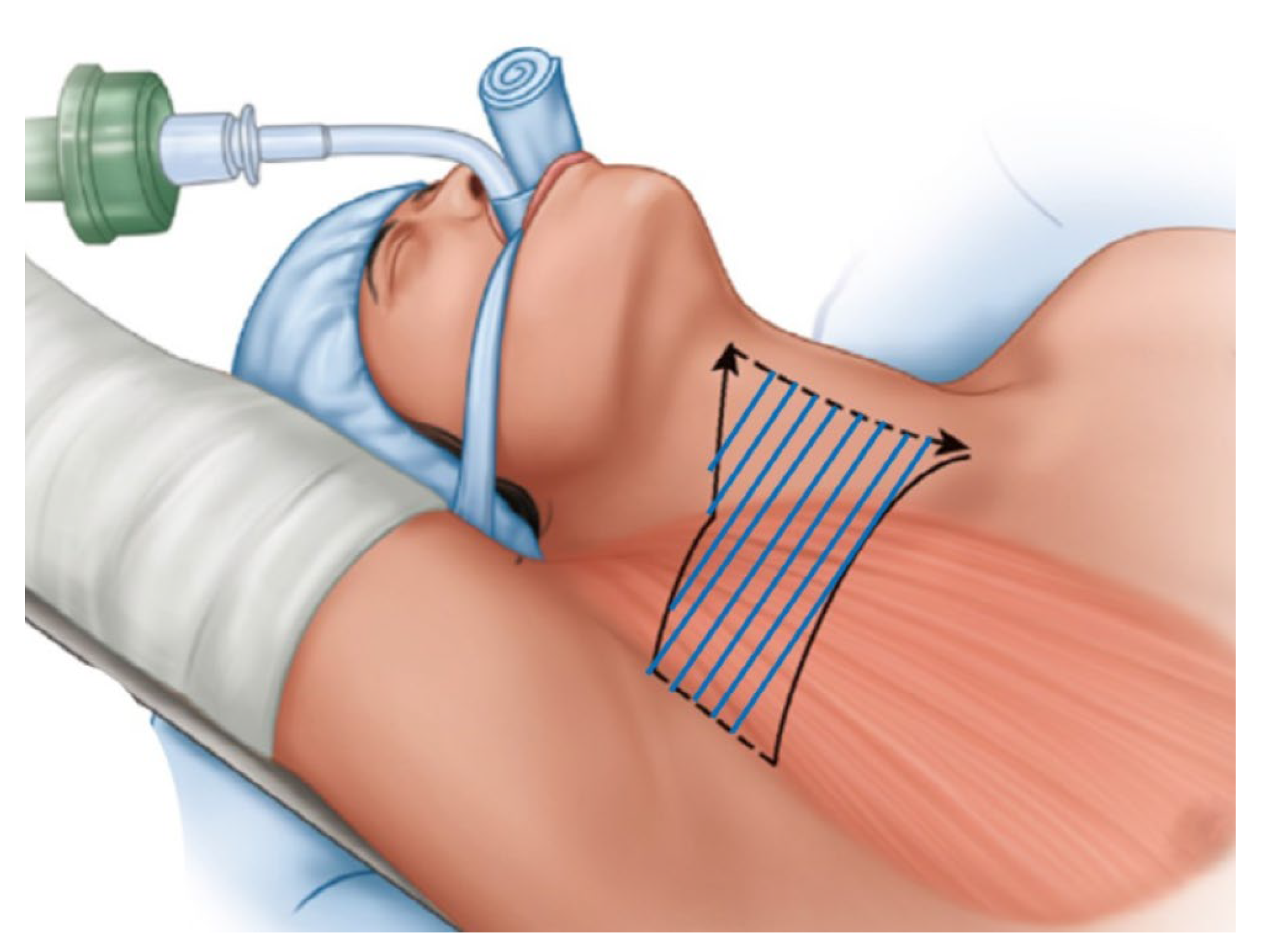 Cancers 14 04097 g002 550