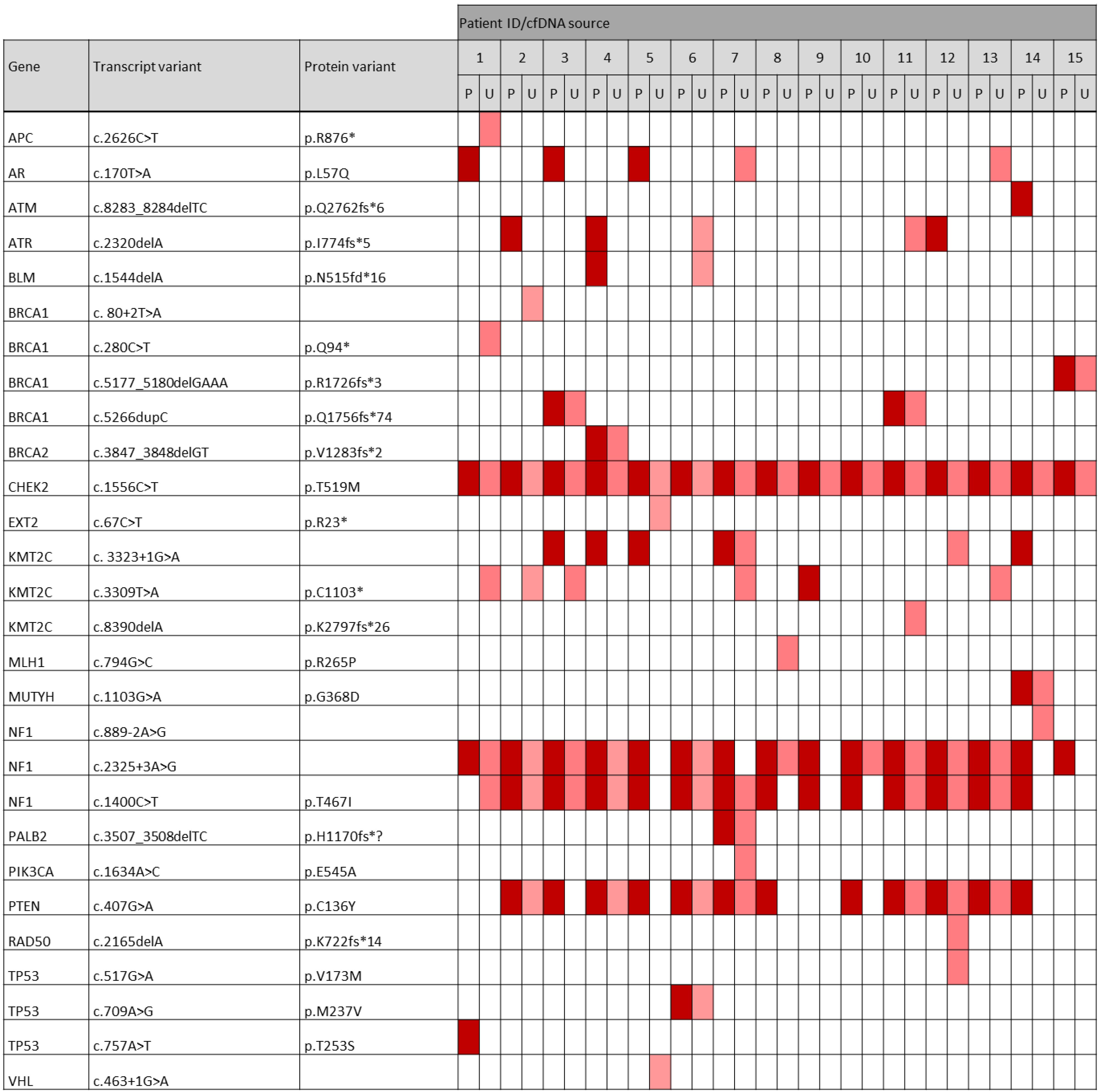 Cancers 14 04101 g007 Cancers 14 04101 g007