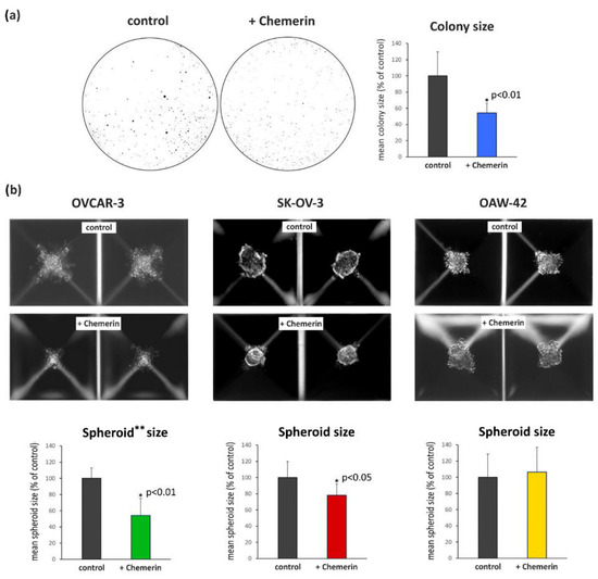 Anti-Tumoral Effect of Chemerin on Ovarian Cancer Cell Lines