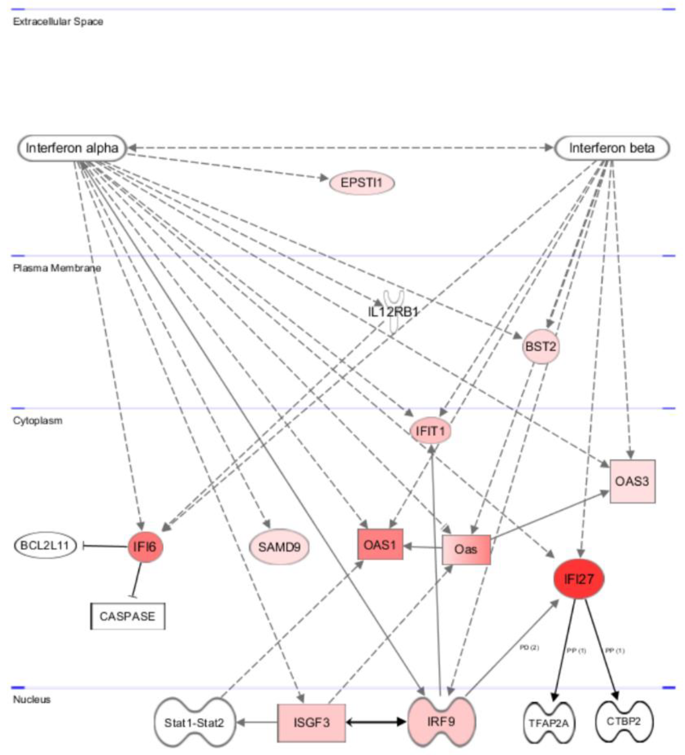 Cancers 14 04108 g007 Cancers 14 04108 g007
