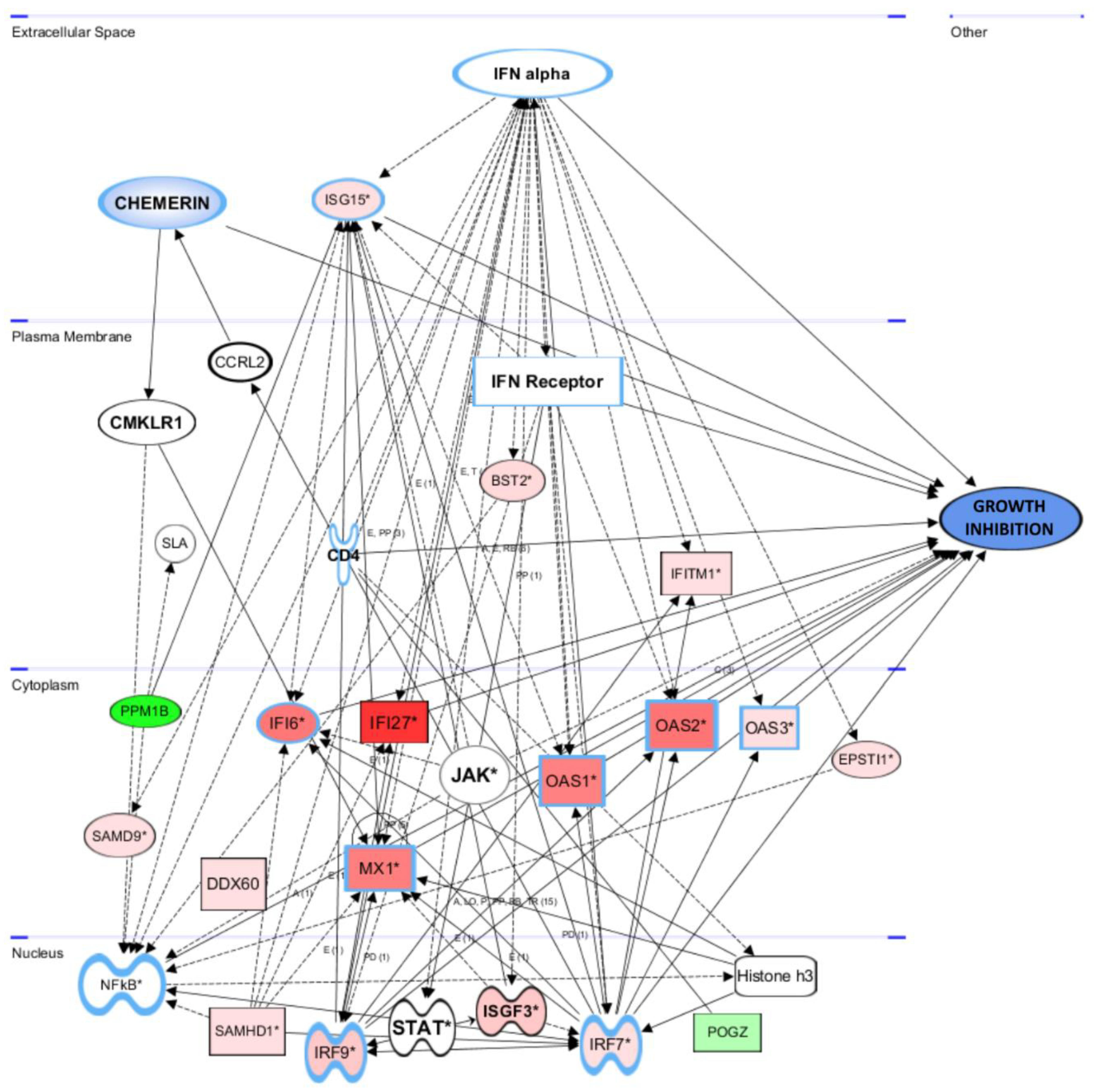 Cancers 14 04108 g009 Cancers 14 04108 g009