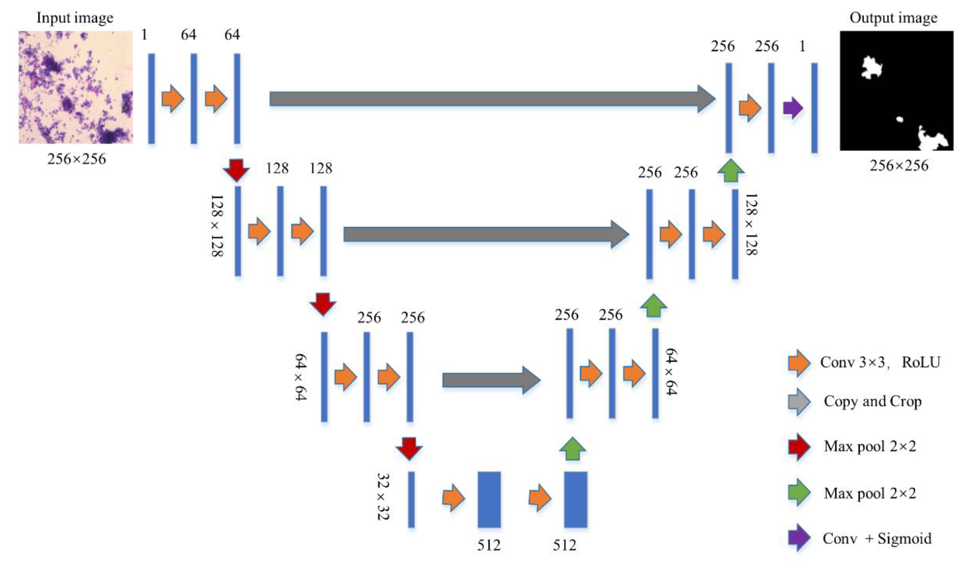 Cancers 14 04109 g002