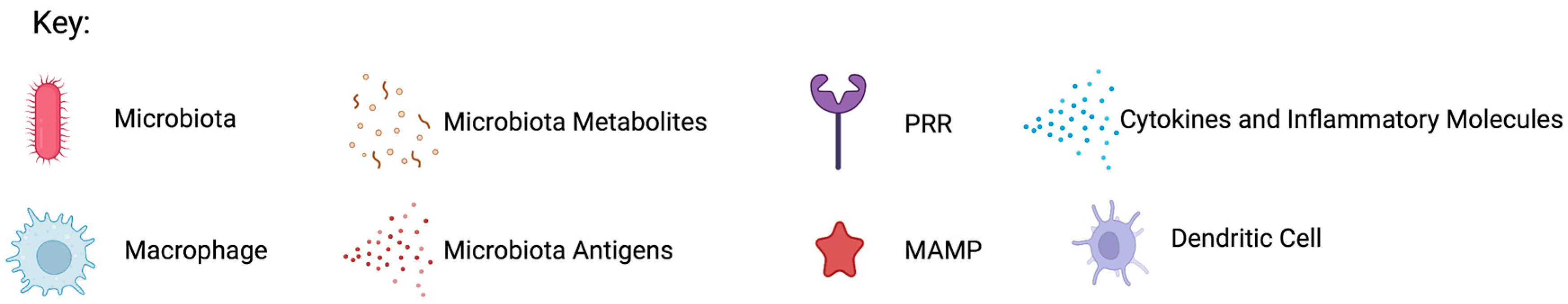 Cancers 14 04116 g002b 550