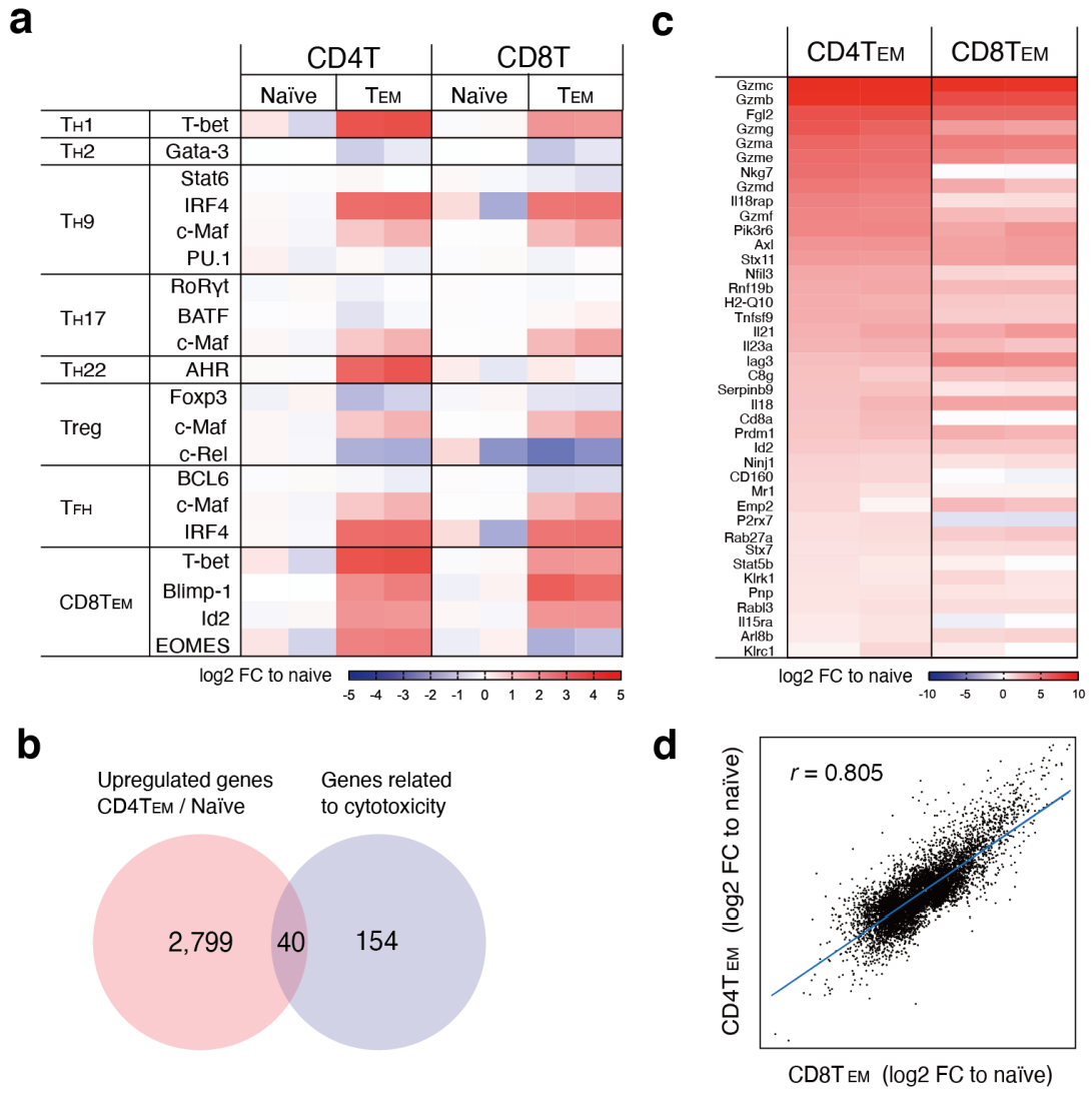 Cancers 14 04118 g003