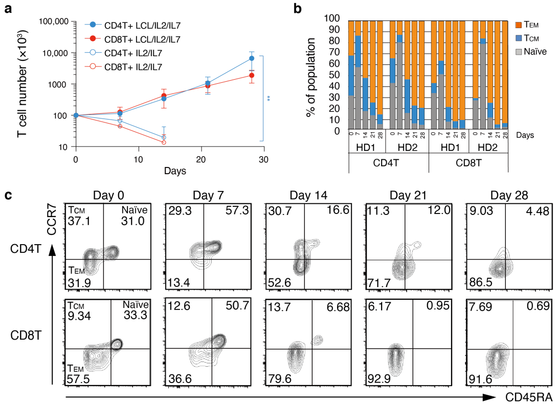 Cancers 14 04118 g004