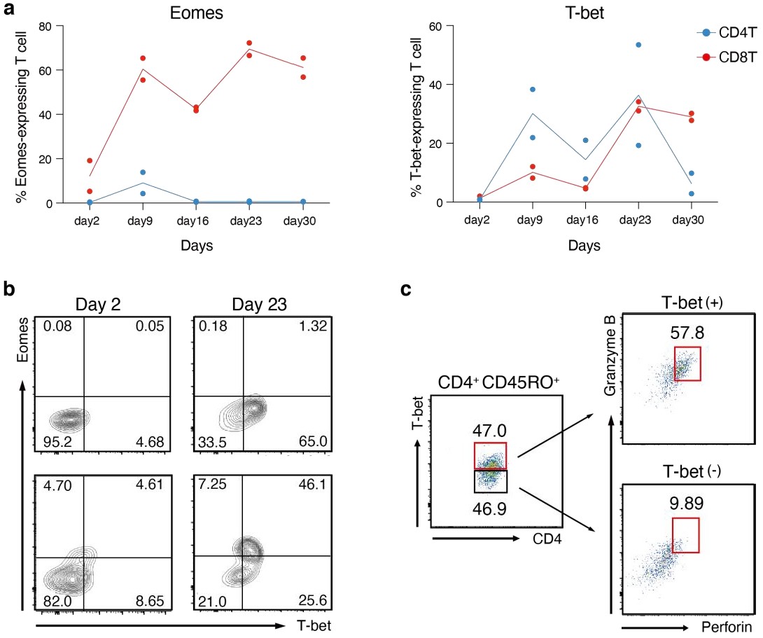 Cancers 14 04118 g006