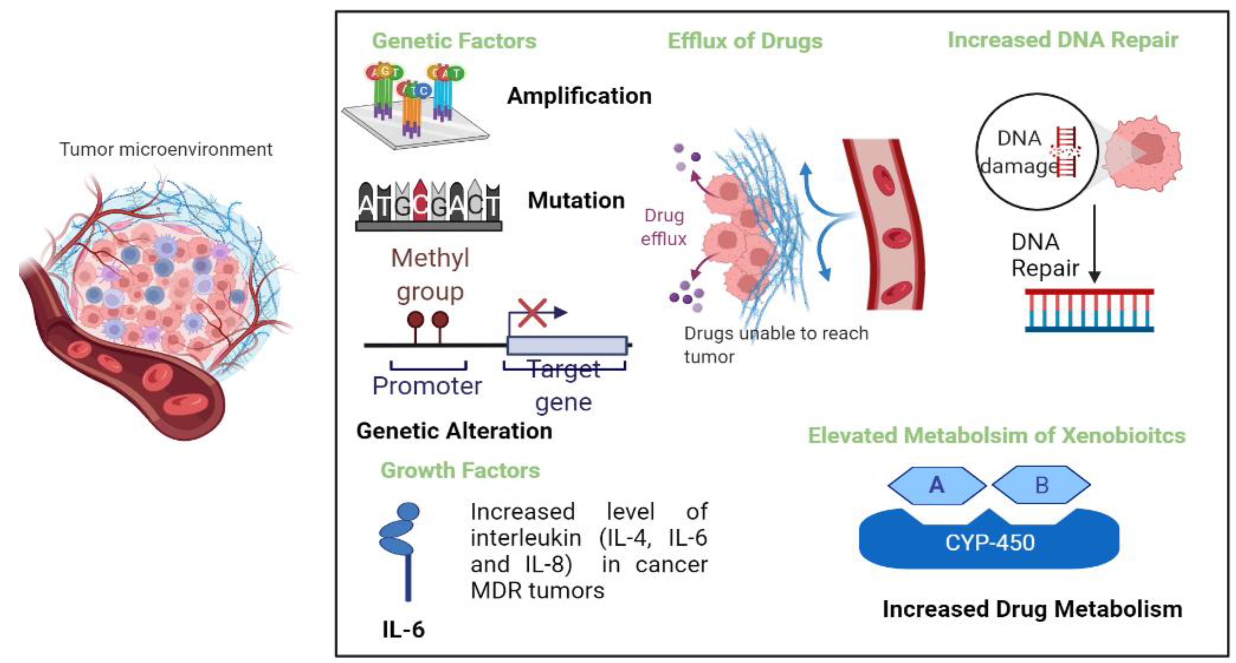Cancers 14 04123 g001 550