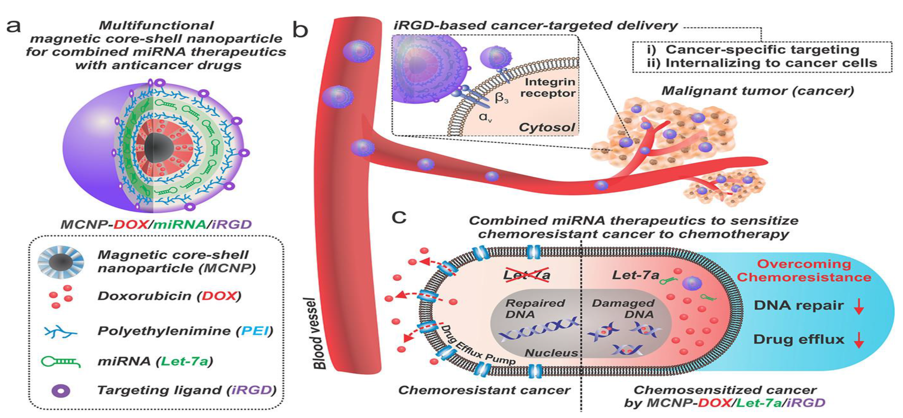 Cancers 14 04123 g003 550