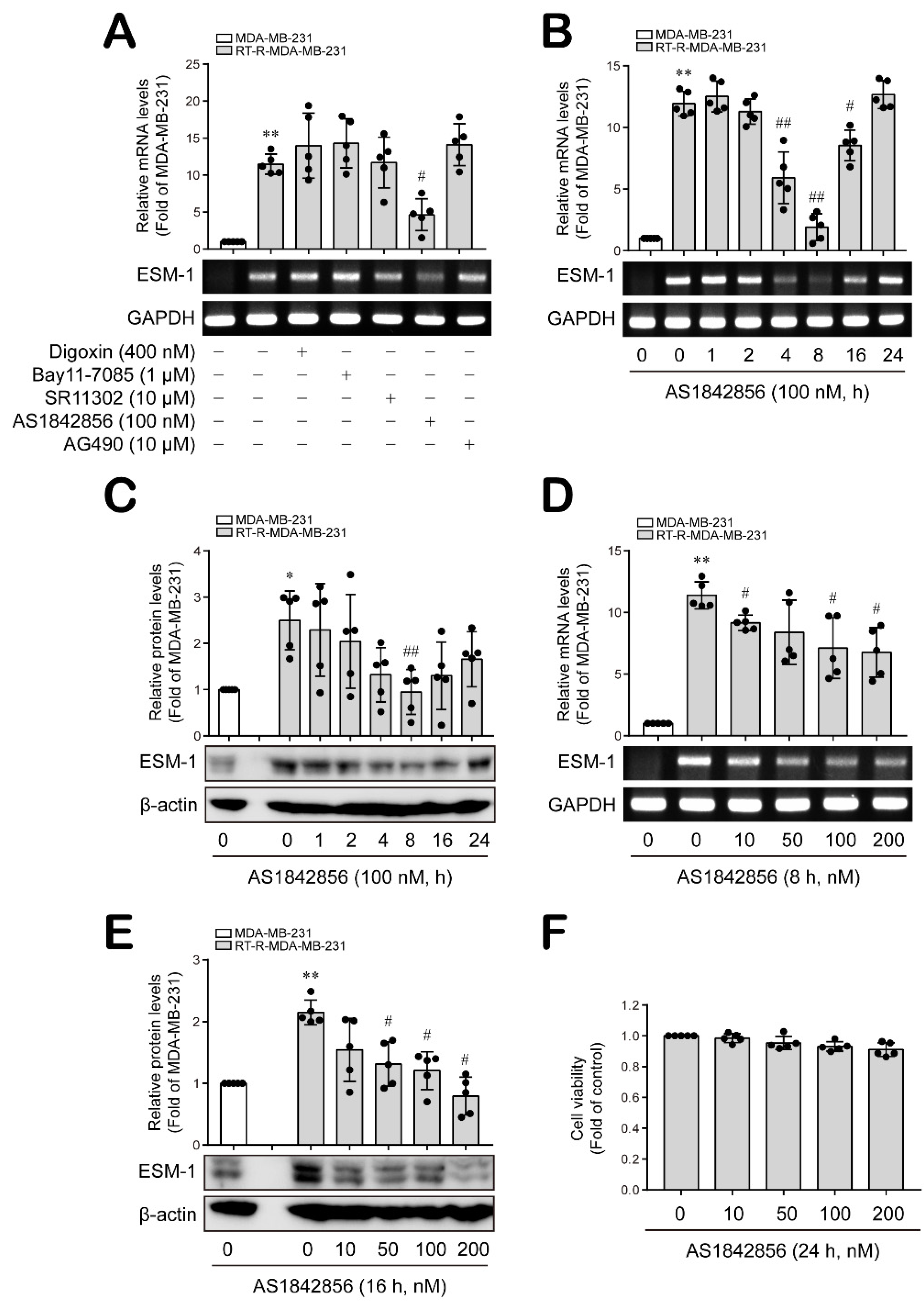 Cancers 14 04124 g001