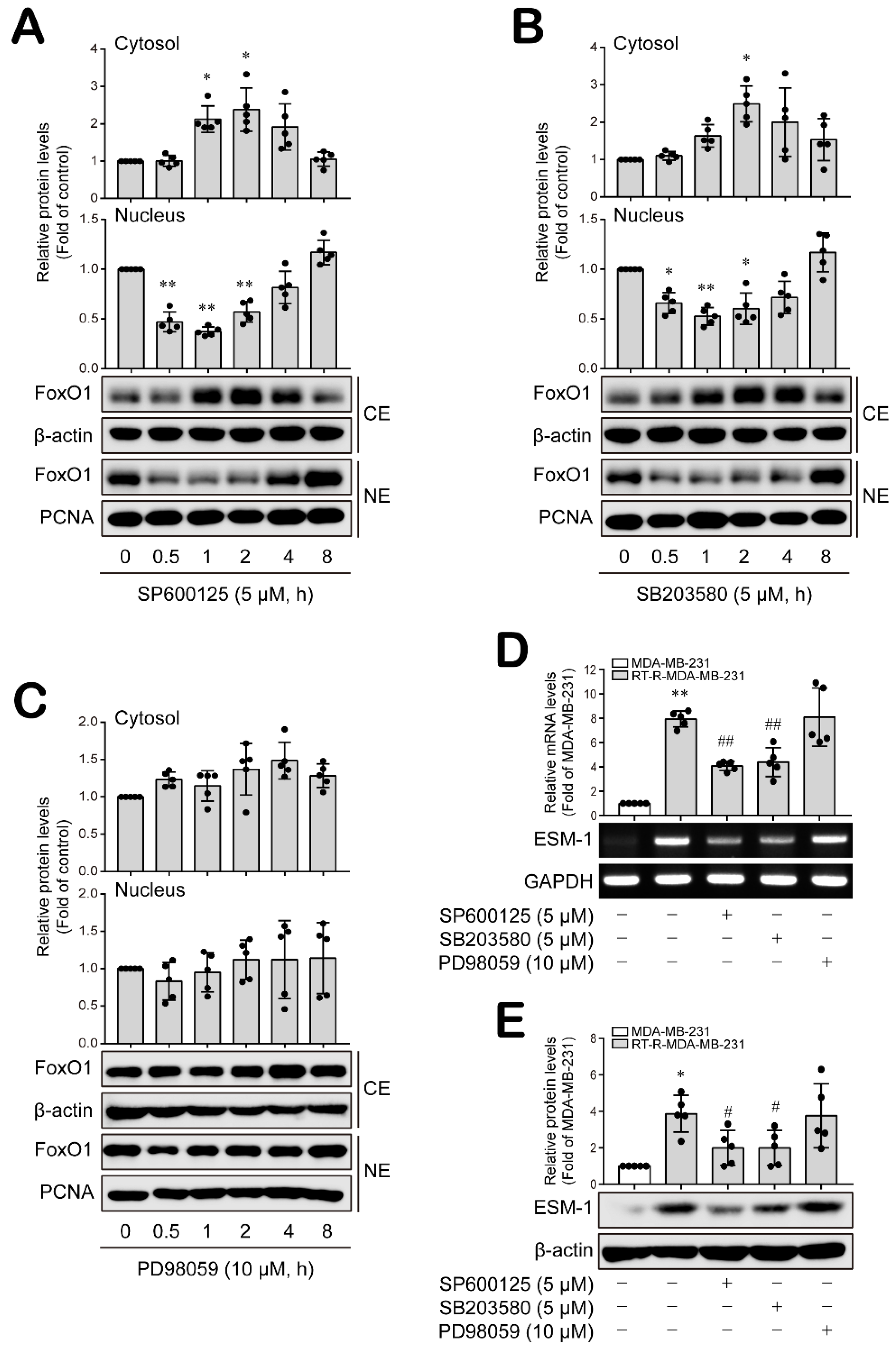 Cancers 14 04124 g002