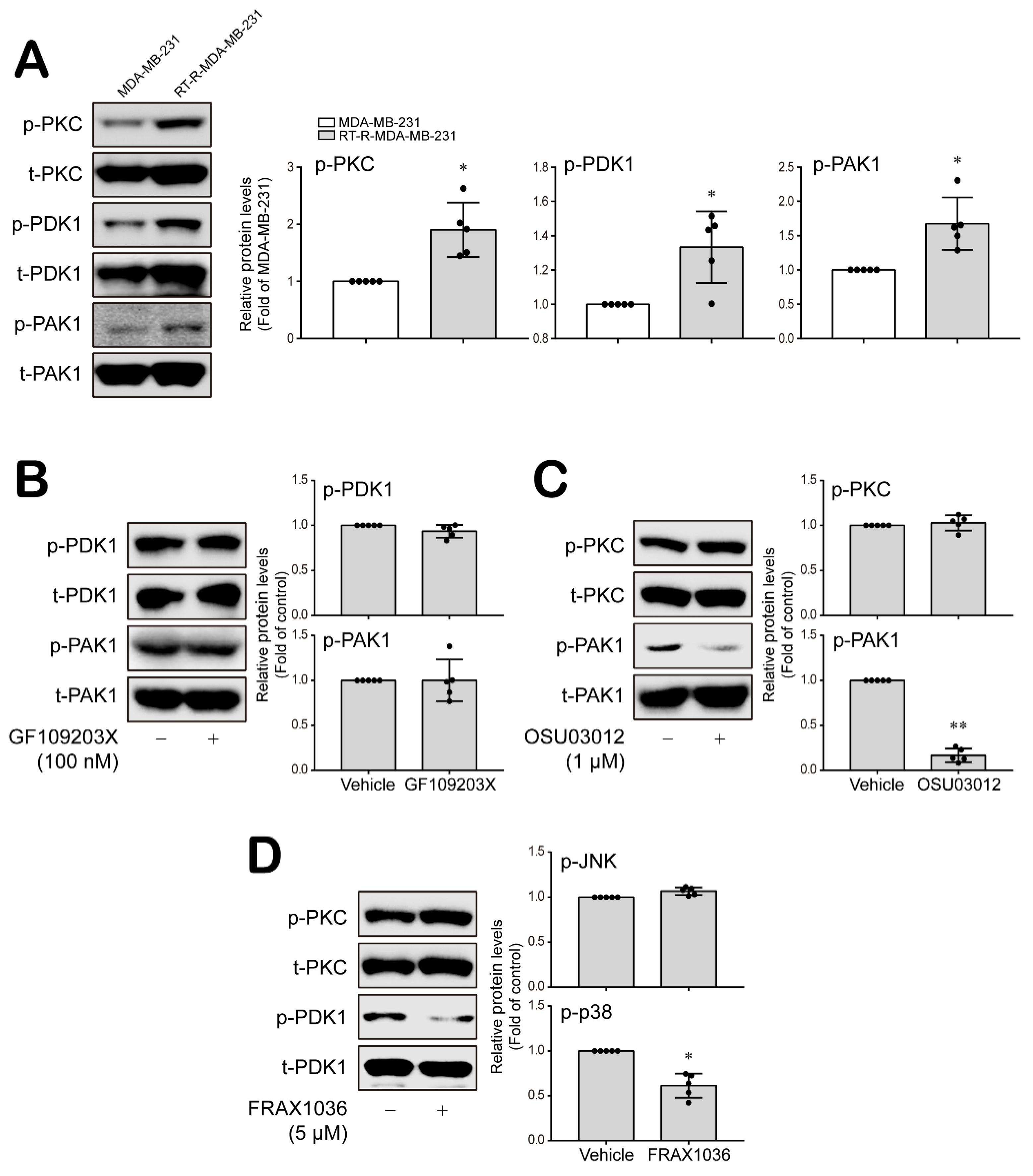 Cancers 14 04124 g004
