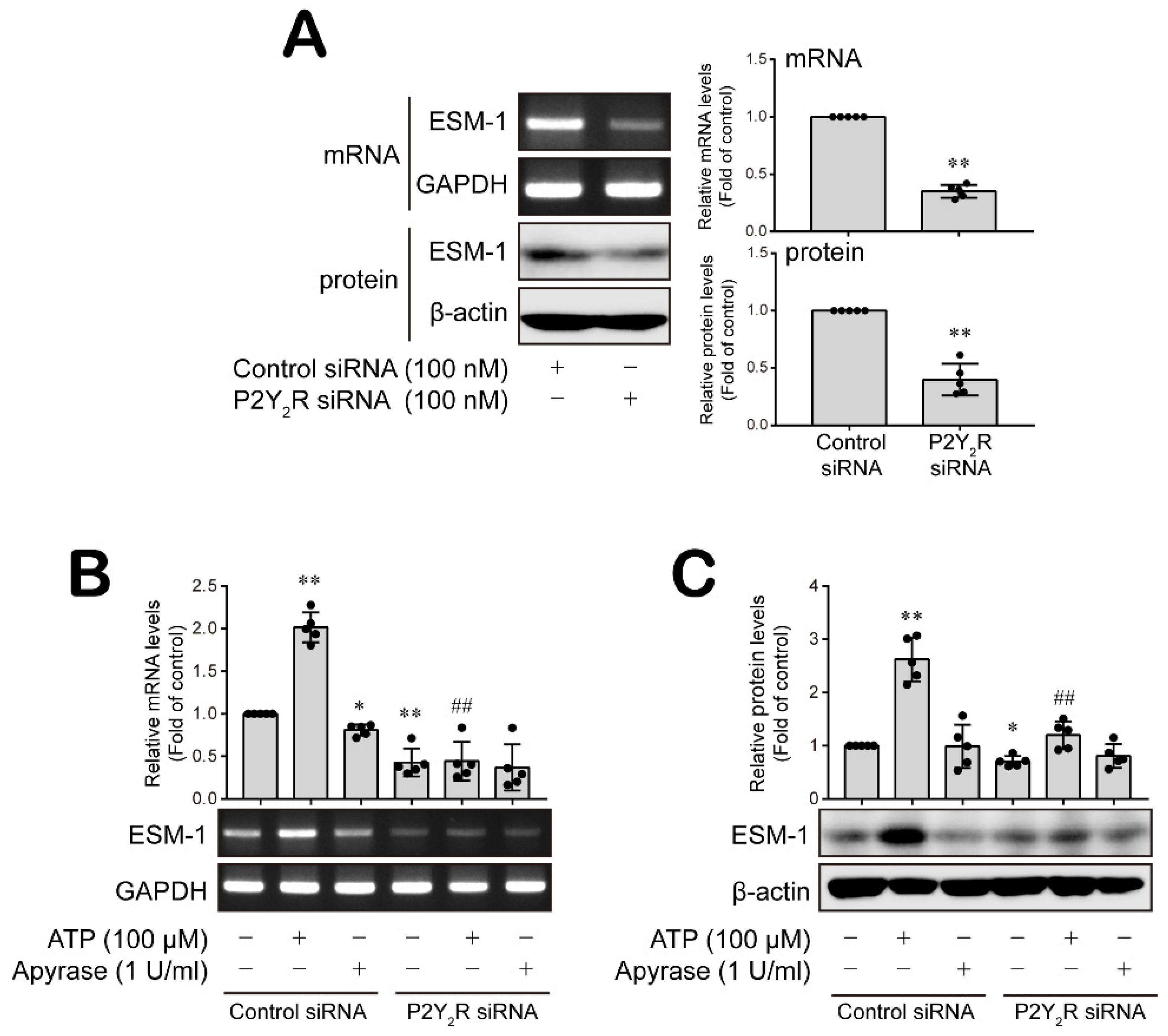 Cancers 14 04124 g006