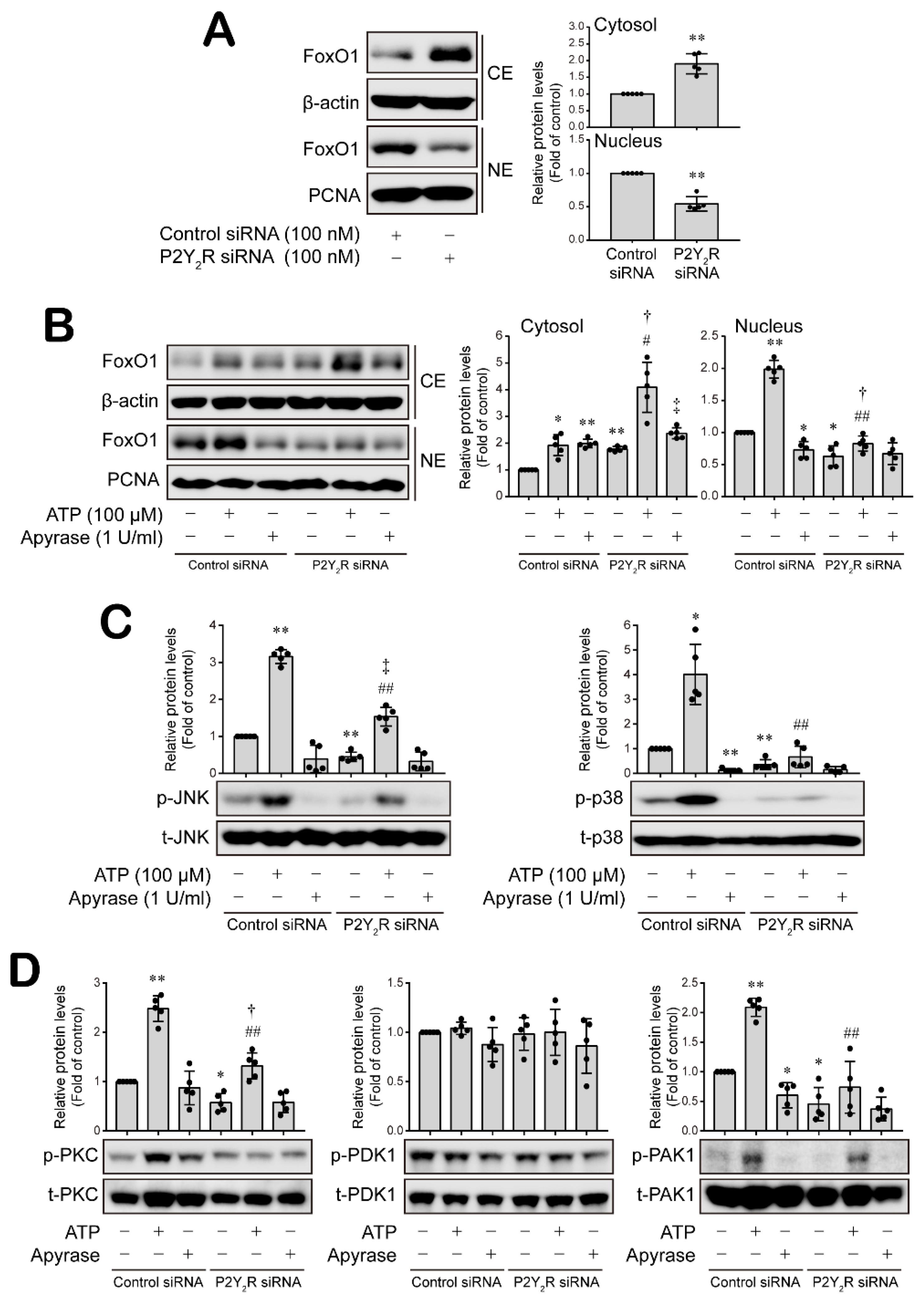 Cancers 14 04124 g007