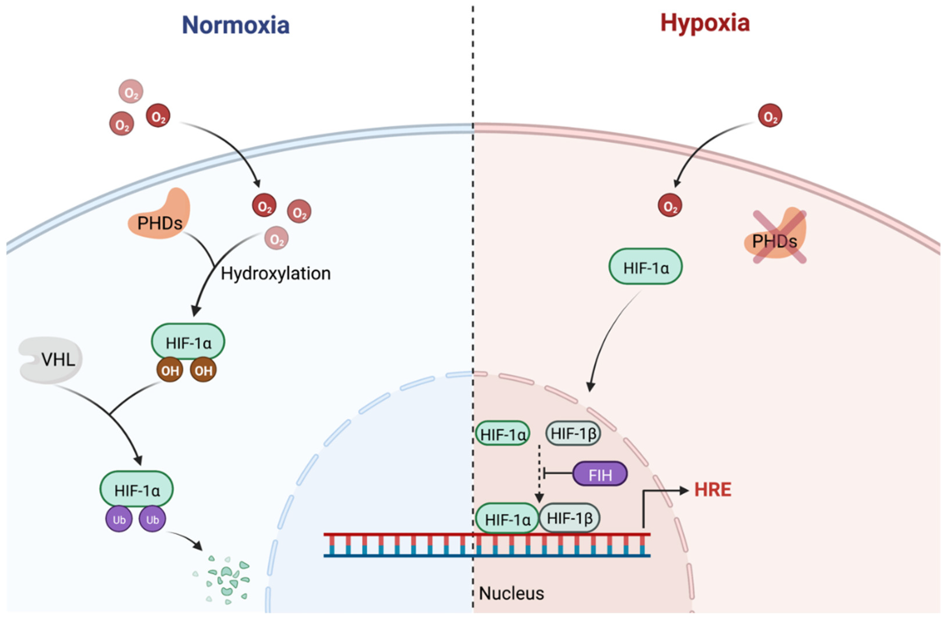 Cancers 14 04130 g001 Cancers 14 04130 g001