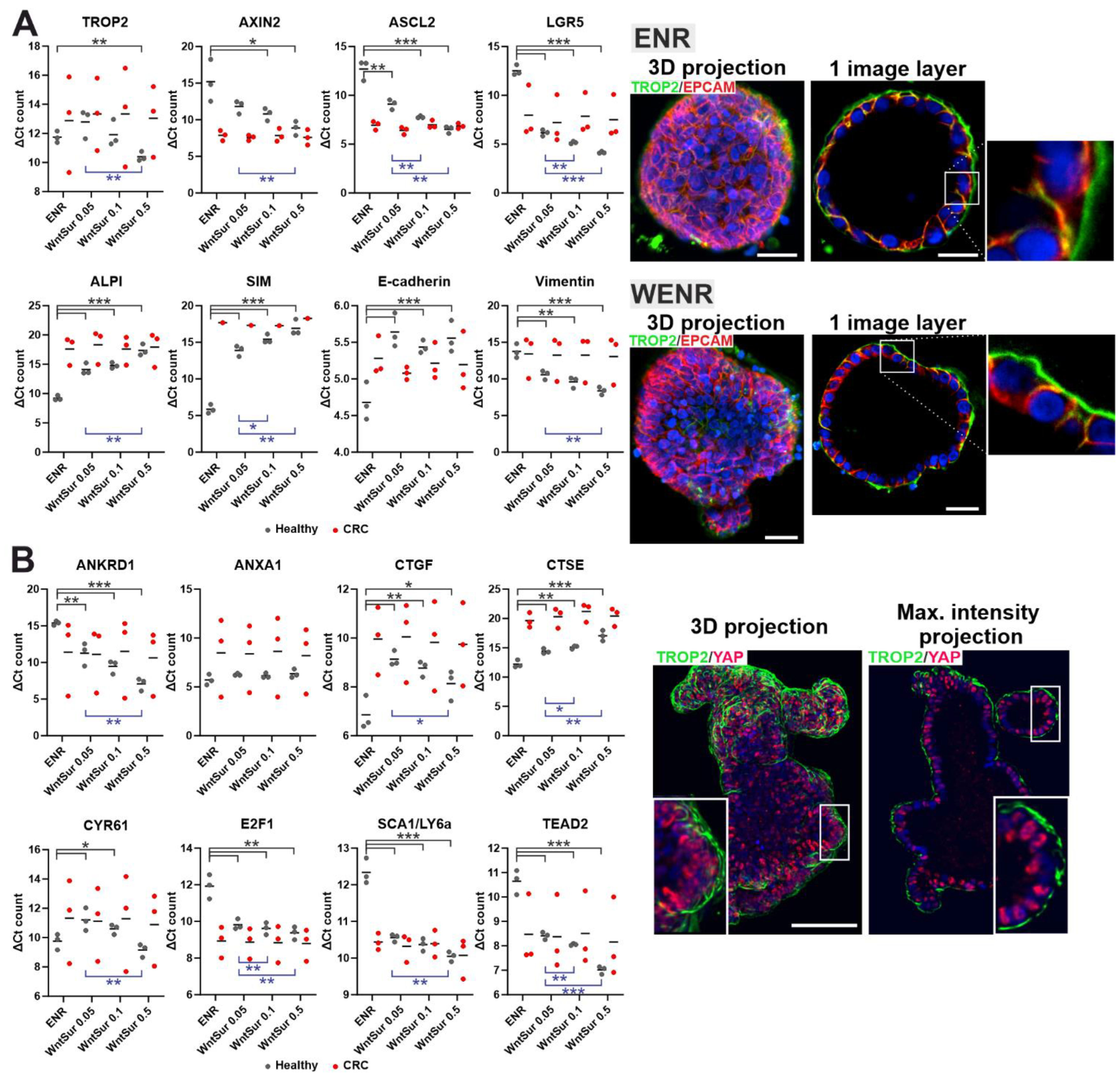 Cancers 14 04137 g006 Cancers 14 04137 g006