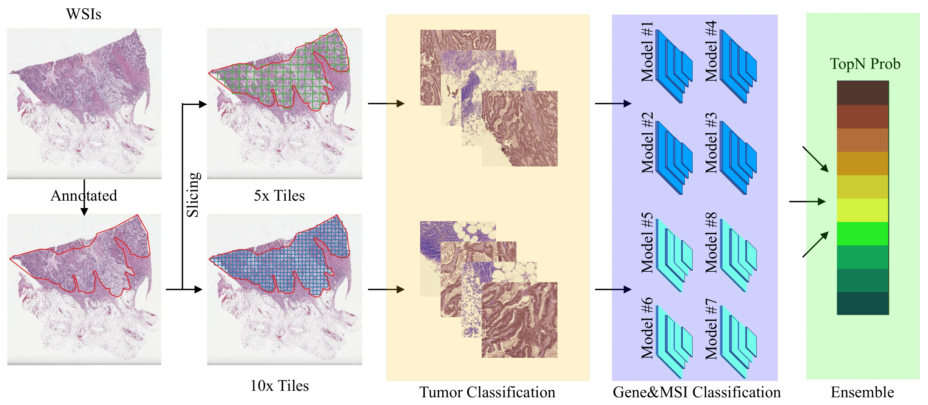 Cancers 14 04144 g002