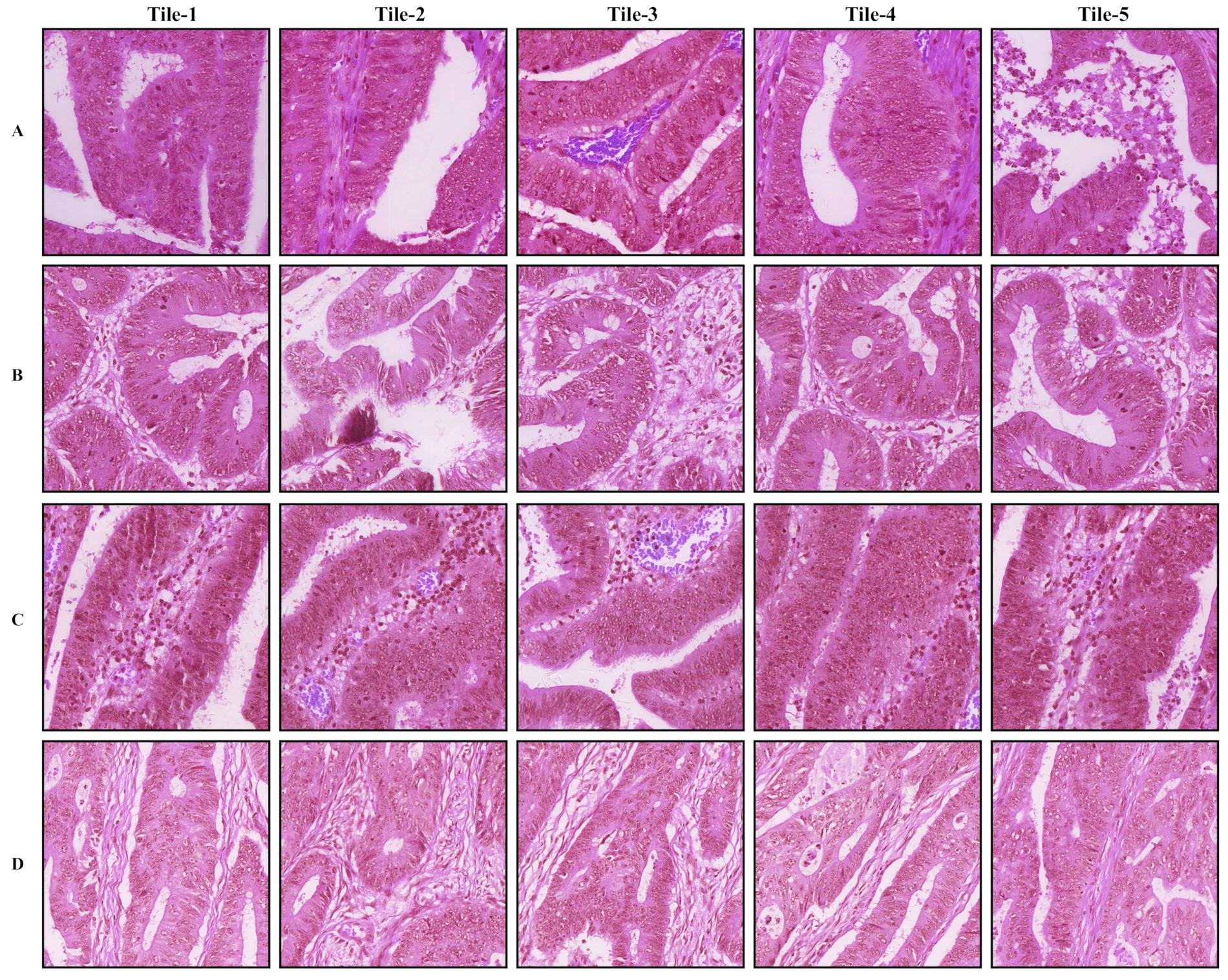 Cancers 14 04144 g005